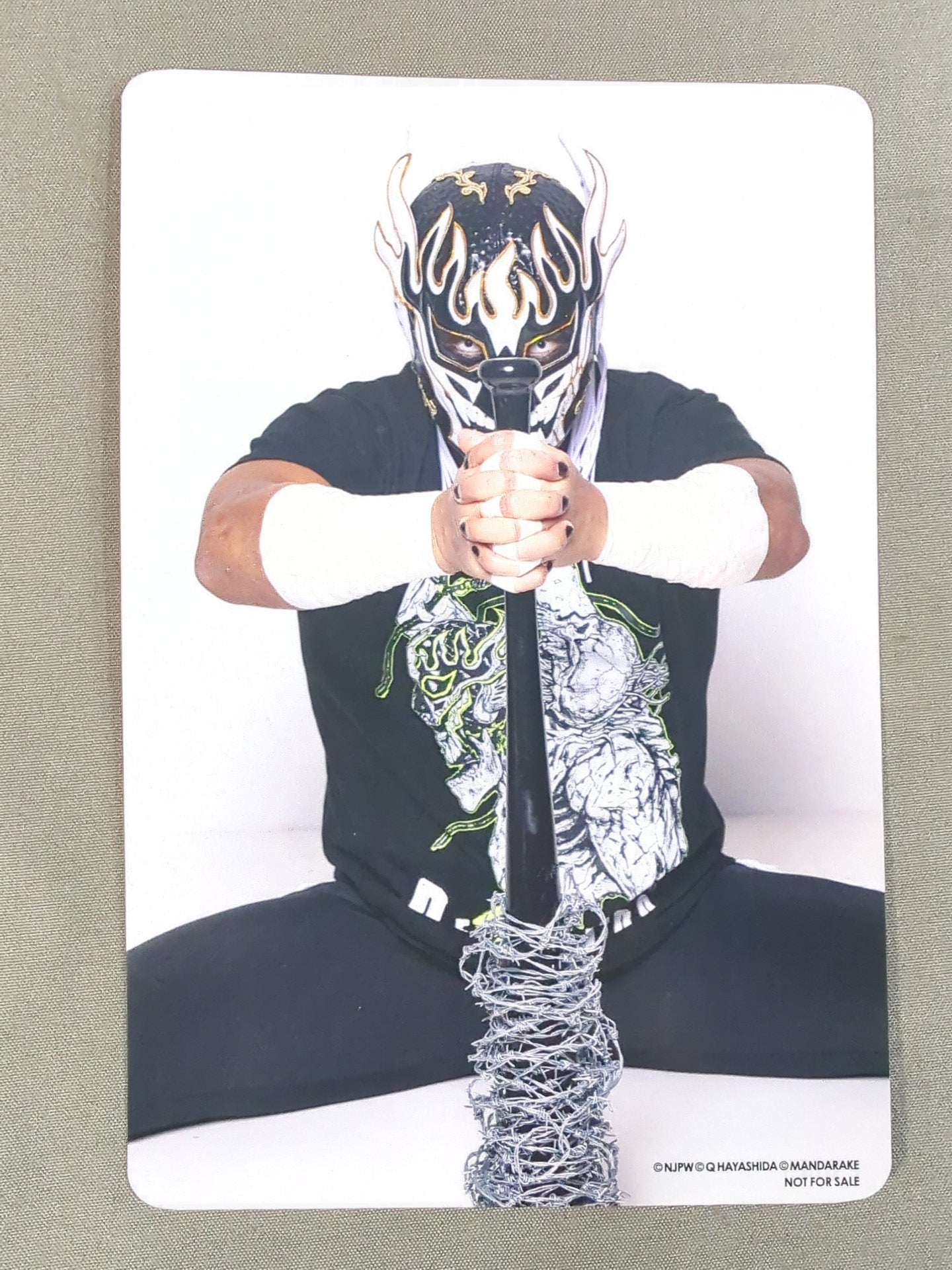 El Desperado× Kyuu Hayashida Postcard (D)