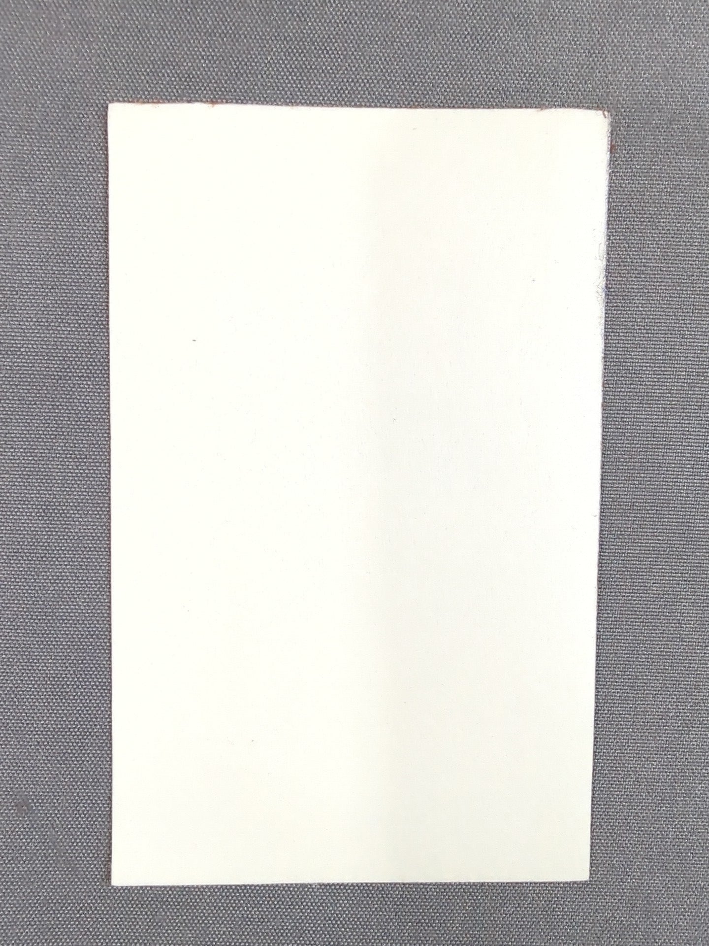 Ryusuke Taguchi "TAG 69 FES" Sticker