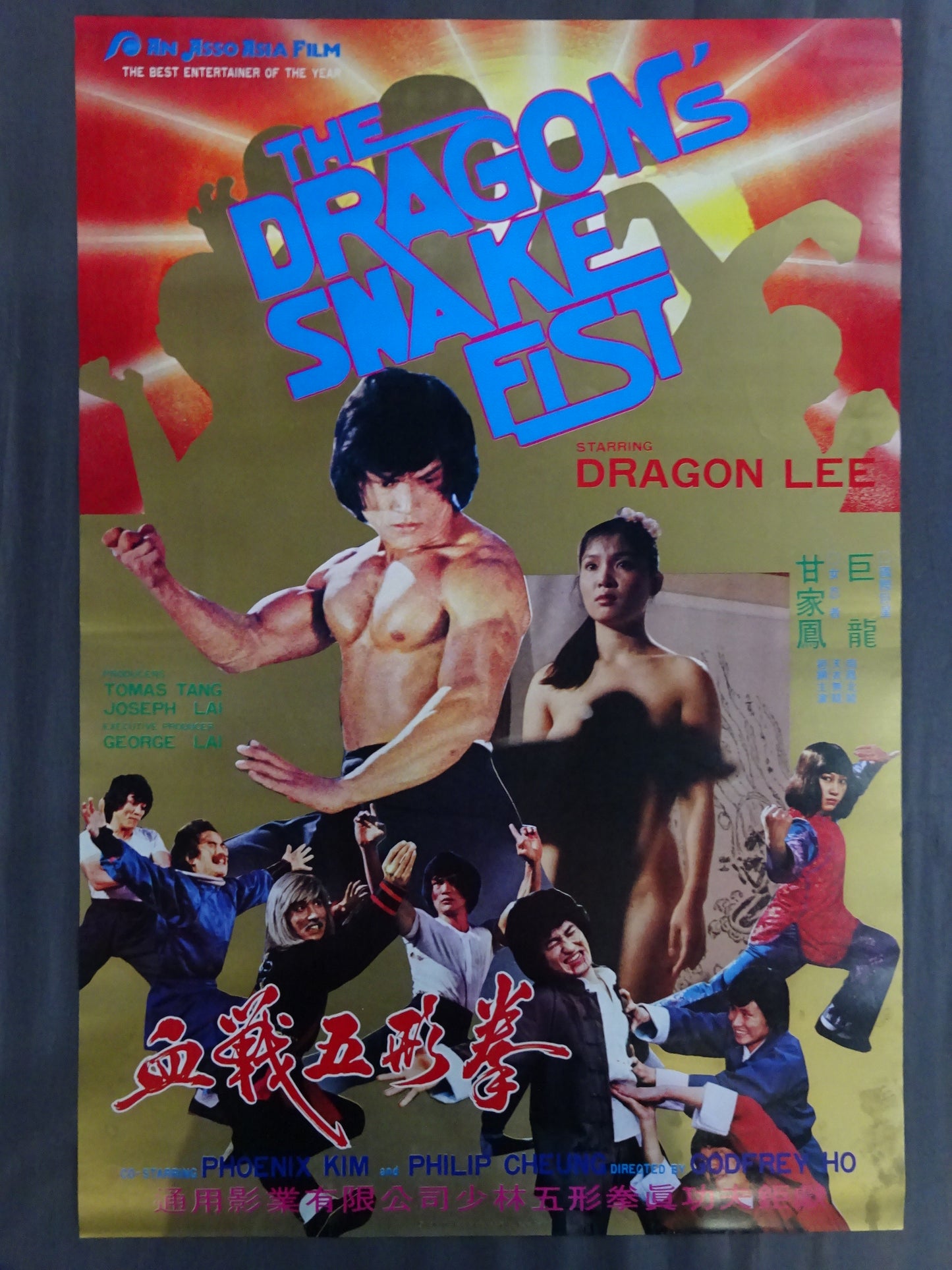 The Dragon's Snake Fist