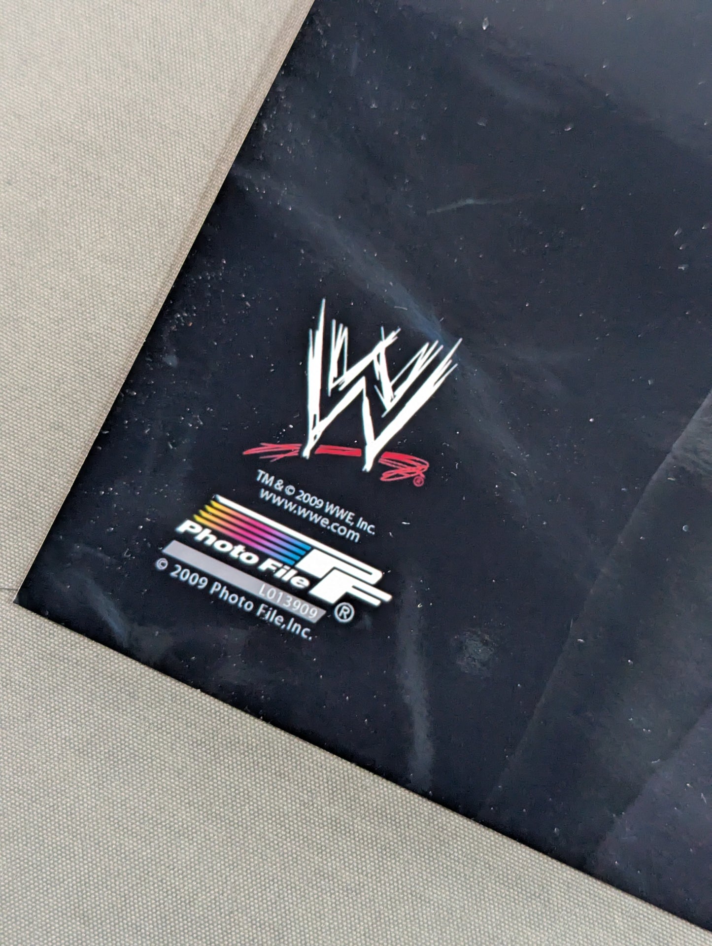 WWE Randy Orton Pro-Photo (1)
