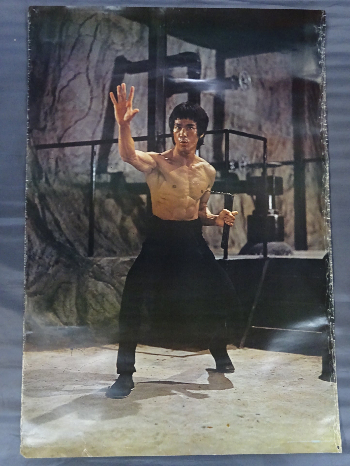 Bruce Lee : Burn the Dragon (3)