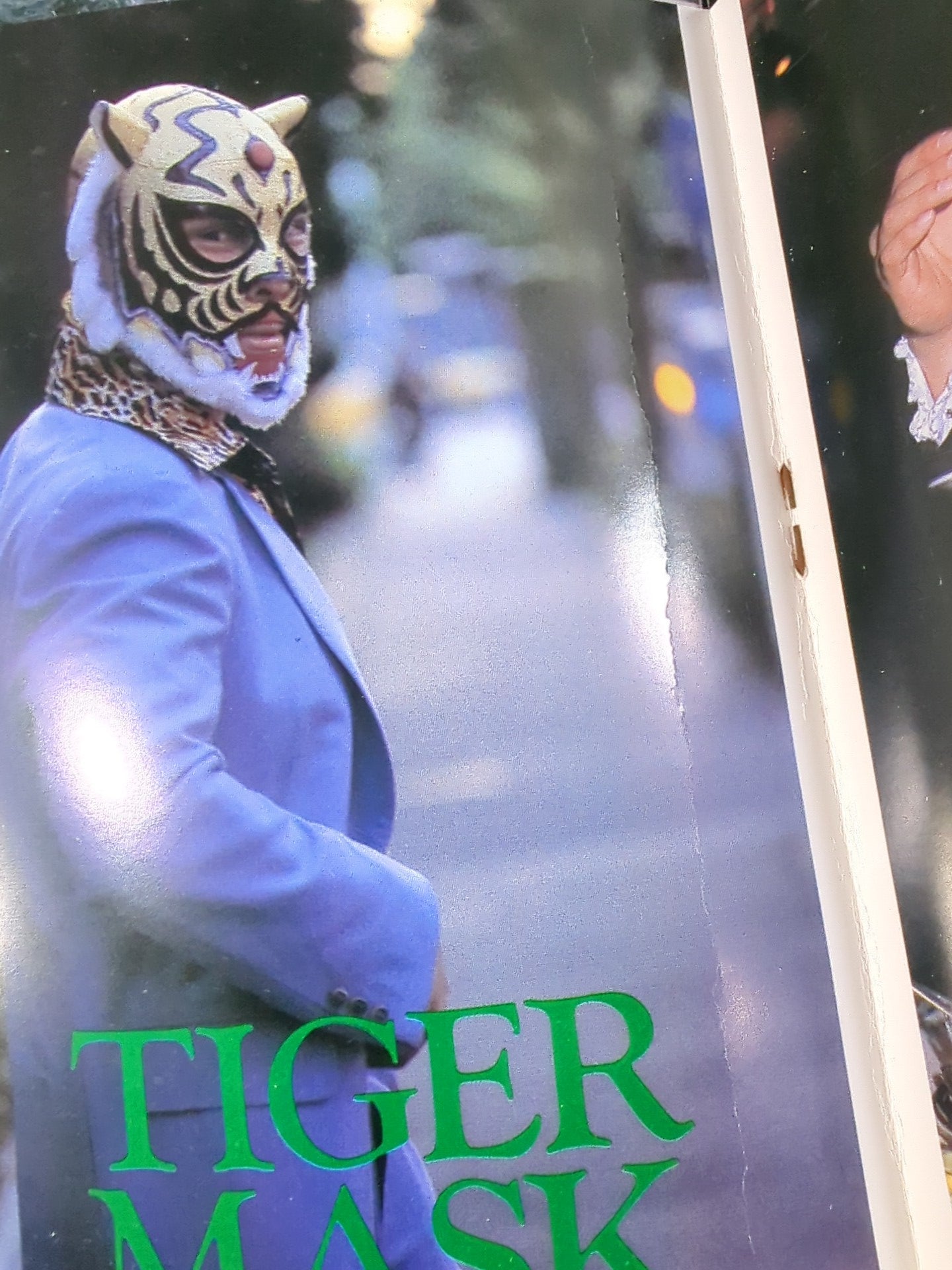 プロレスアルバム18 タイガーマスク