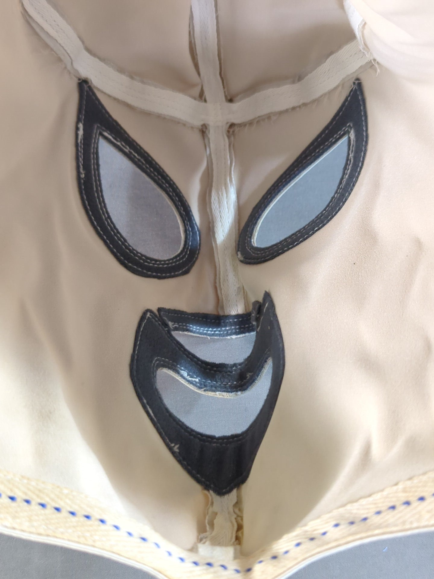 El Santo