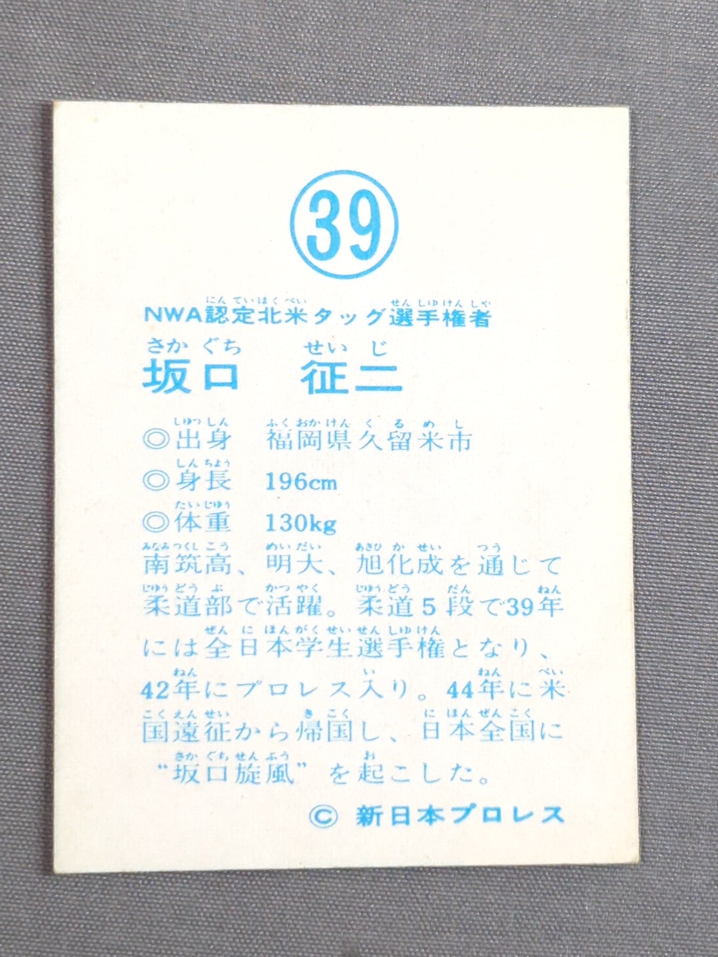 Seiji Sakaguchi Yamakatsu Pro Wrestling Card (39)
