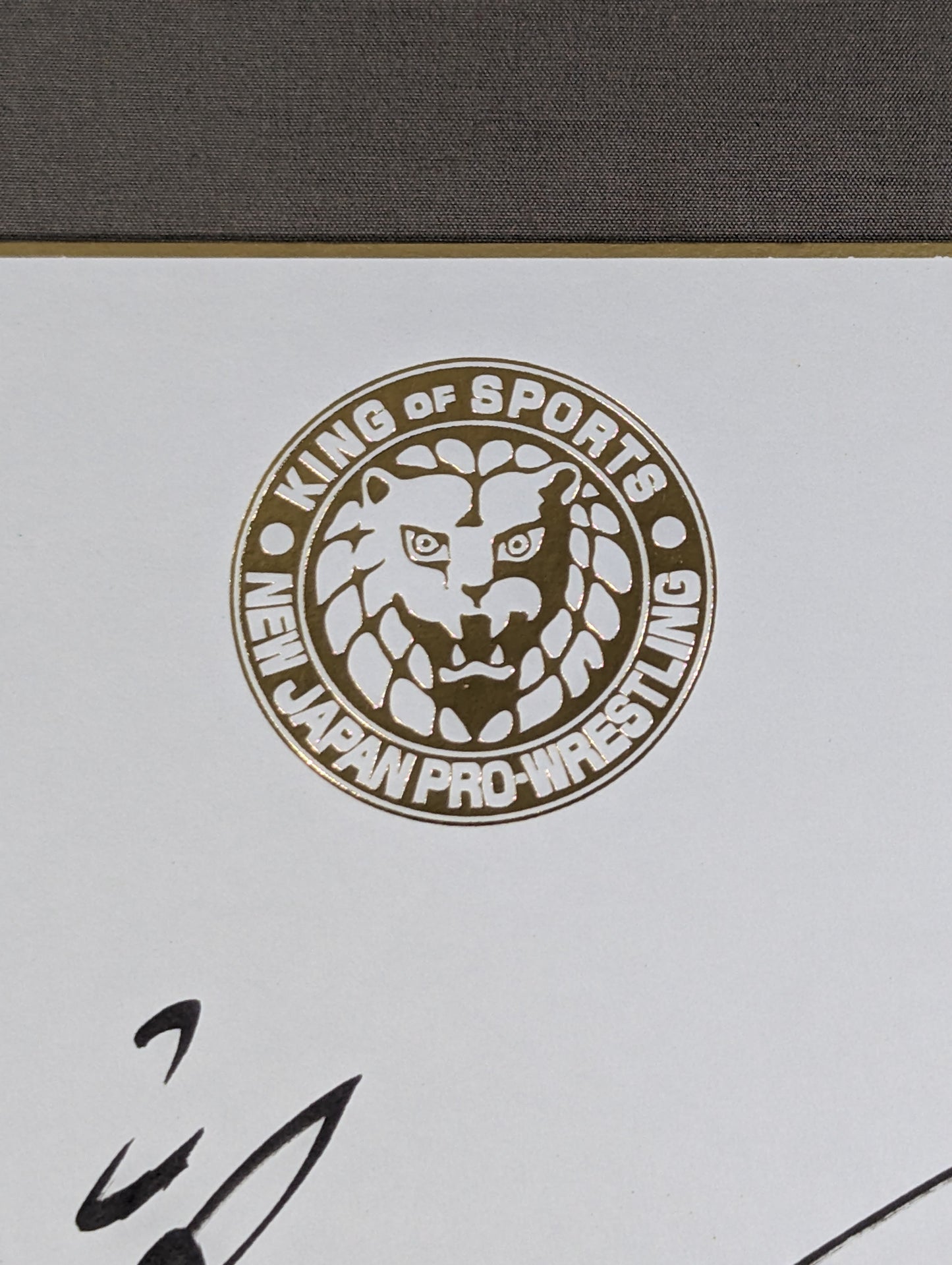 Taichi (Lion Mark ) Shikishi ( Autograph board ) )