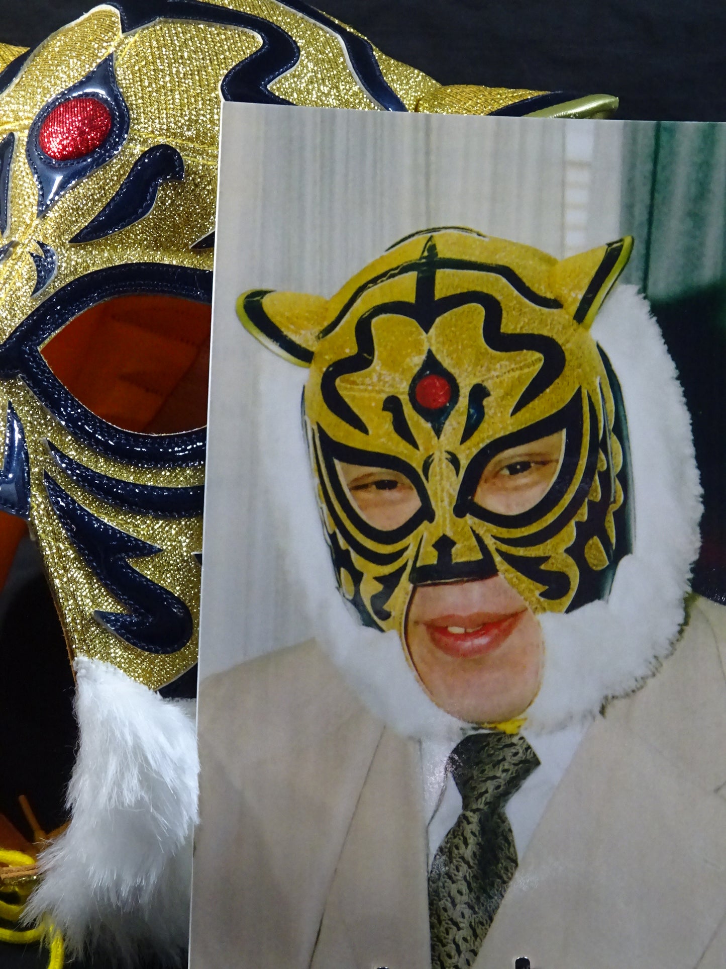 The first Tiger Mask