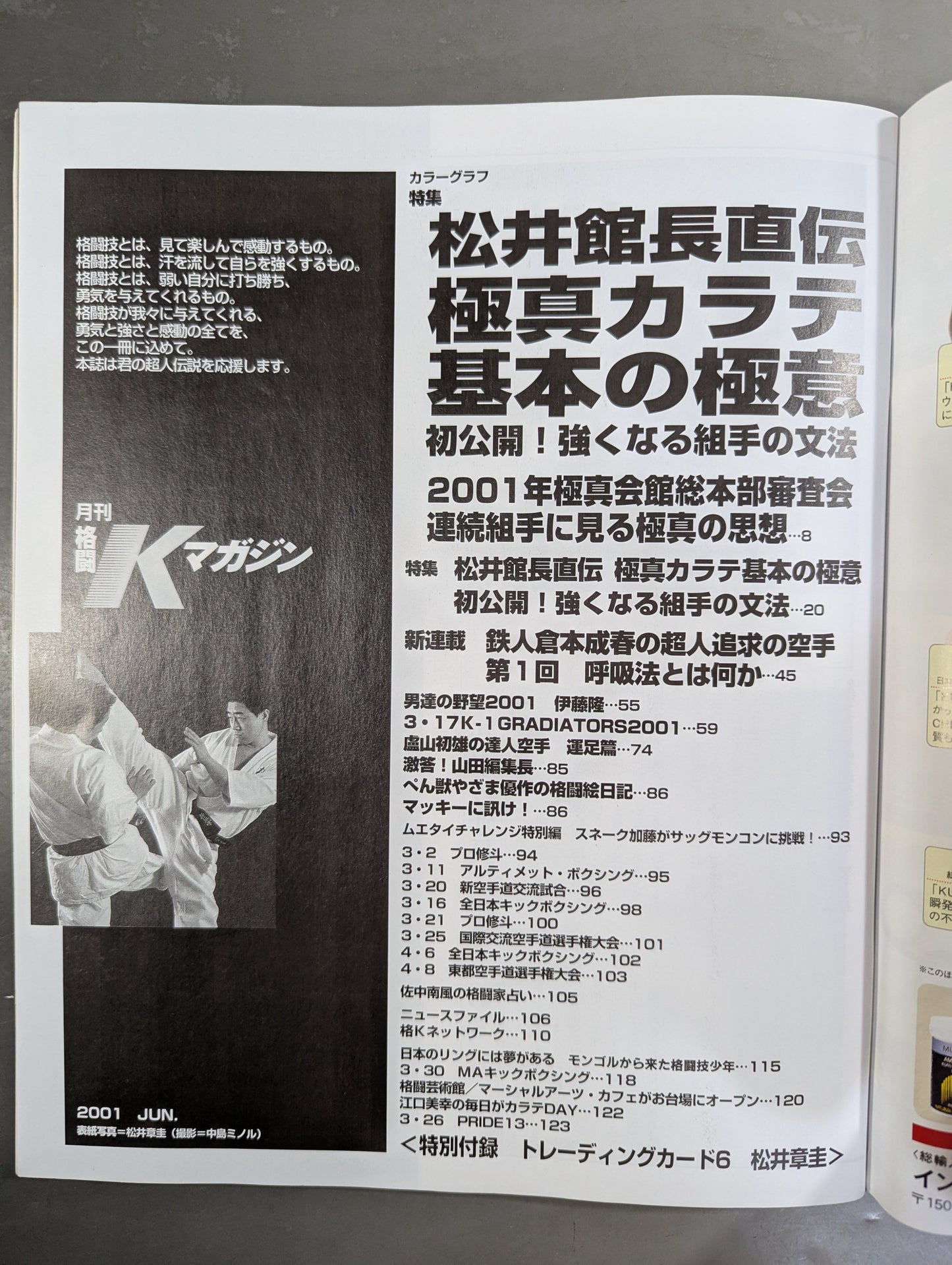Fighting K Magazine 33