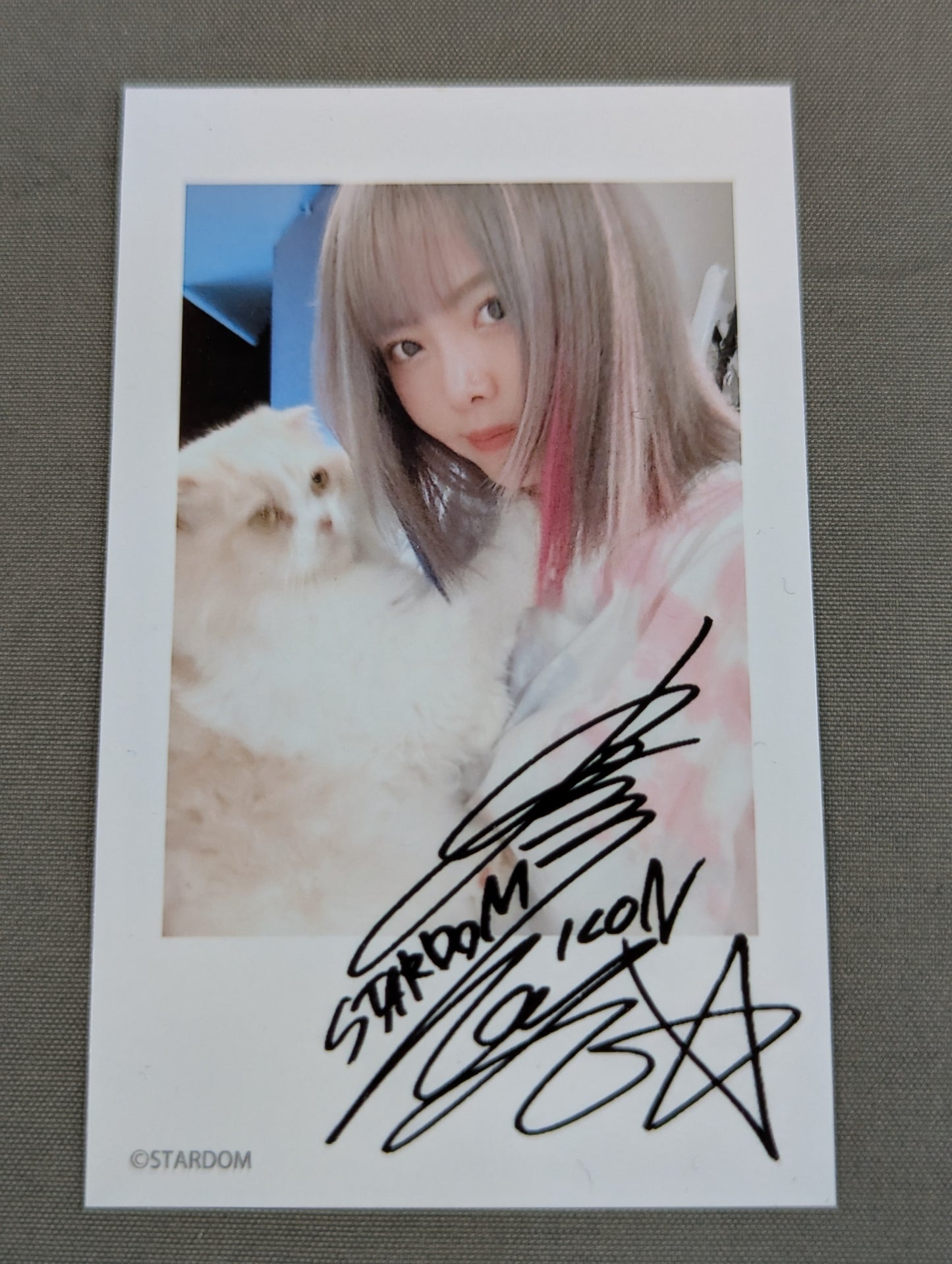 Mayu Iwatani SPG Limited TD Mini Photo-style Card