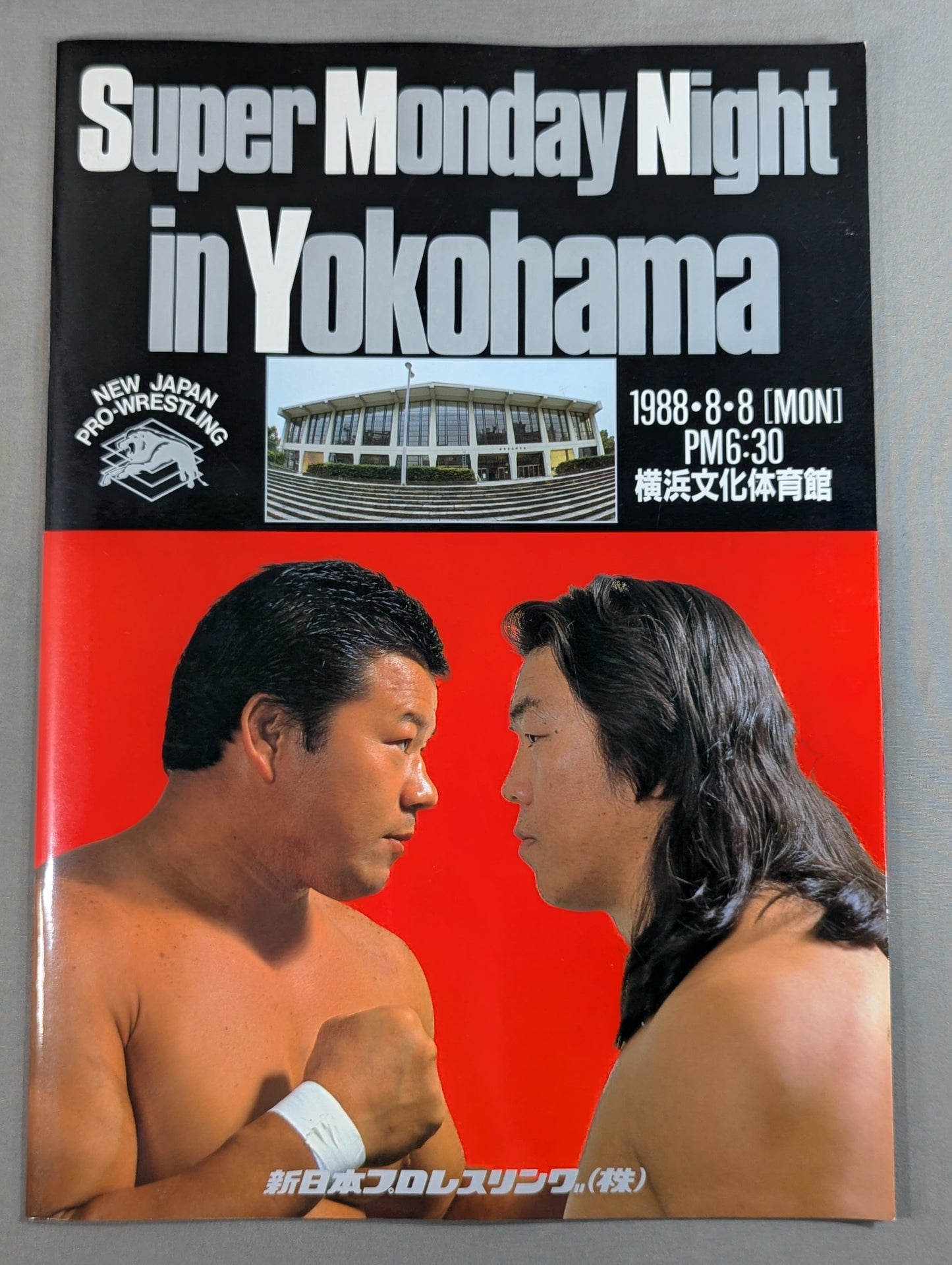 Summerfight in Ariake