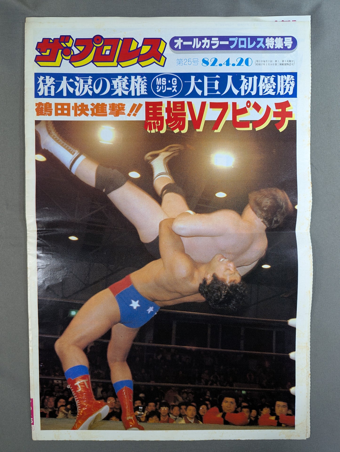 ザ・プロレス25