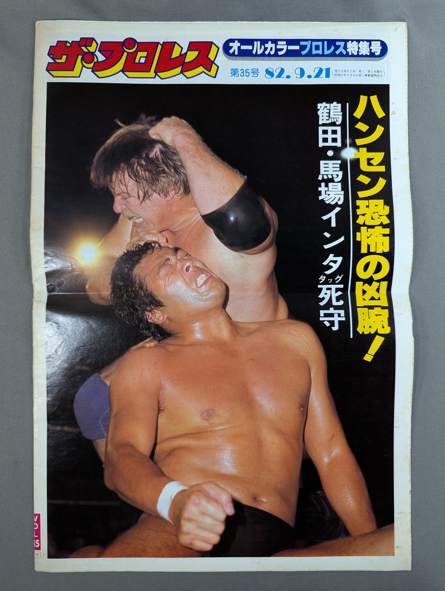 The Pro Wrestling 35