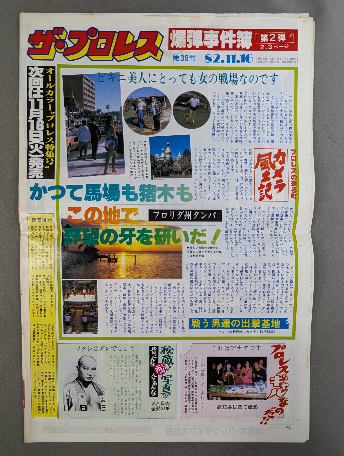 The Pro Wrestling 39