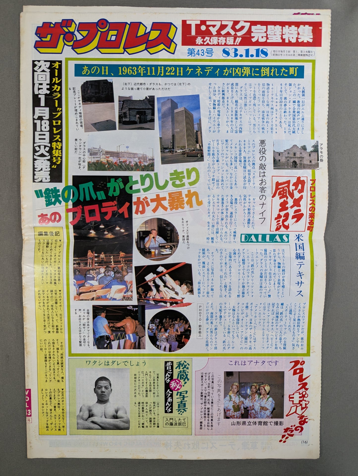 The Pro Wrestling 43