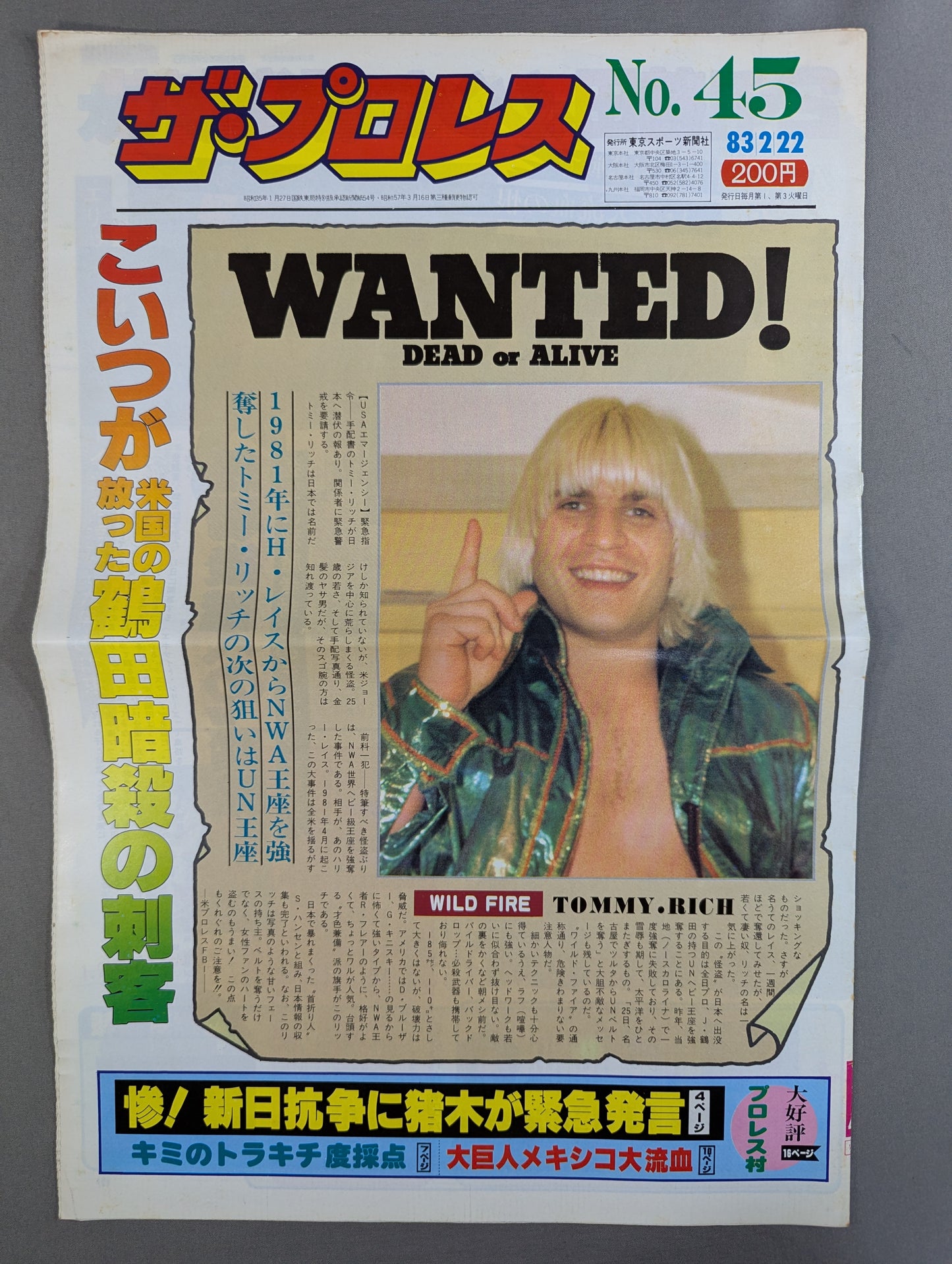 Pro Wrestling 45