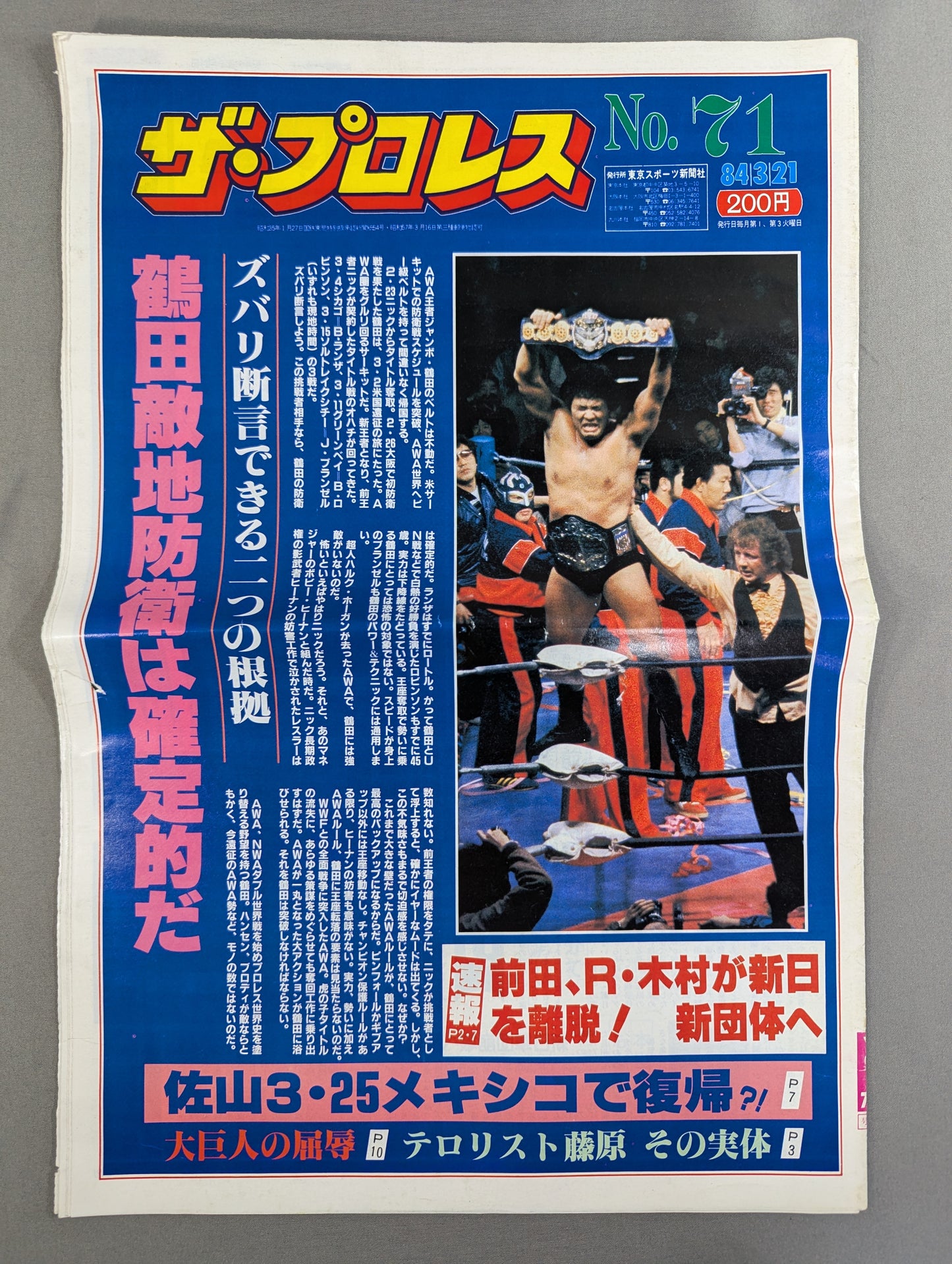 The Pro Wrestling 71