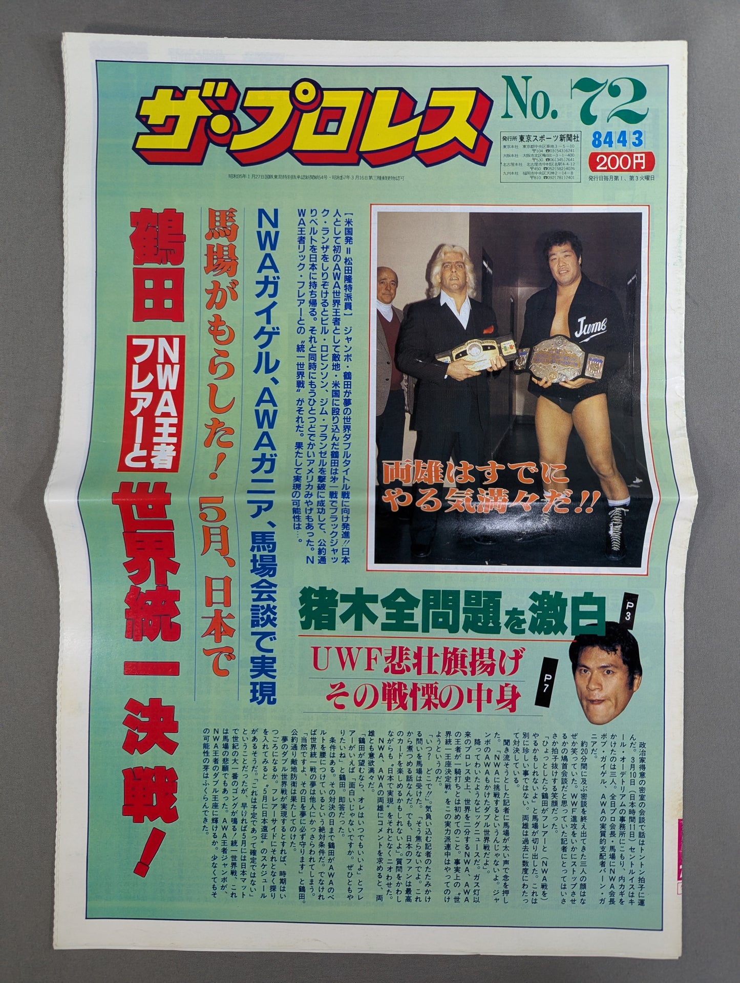 The Pro Wrestling 72