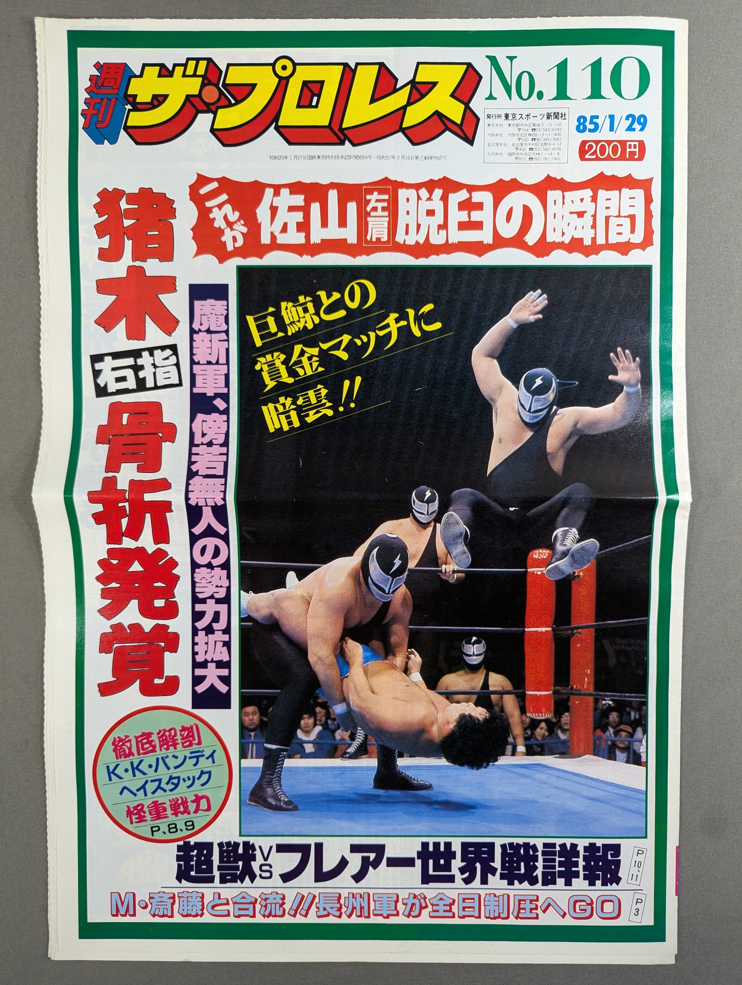 週刊ザ・プロレス110