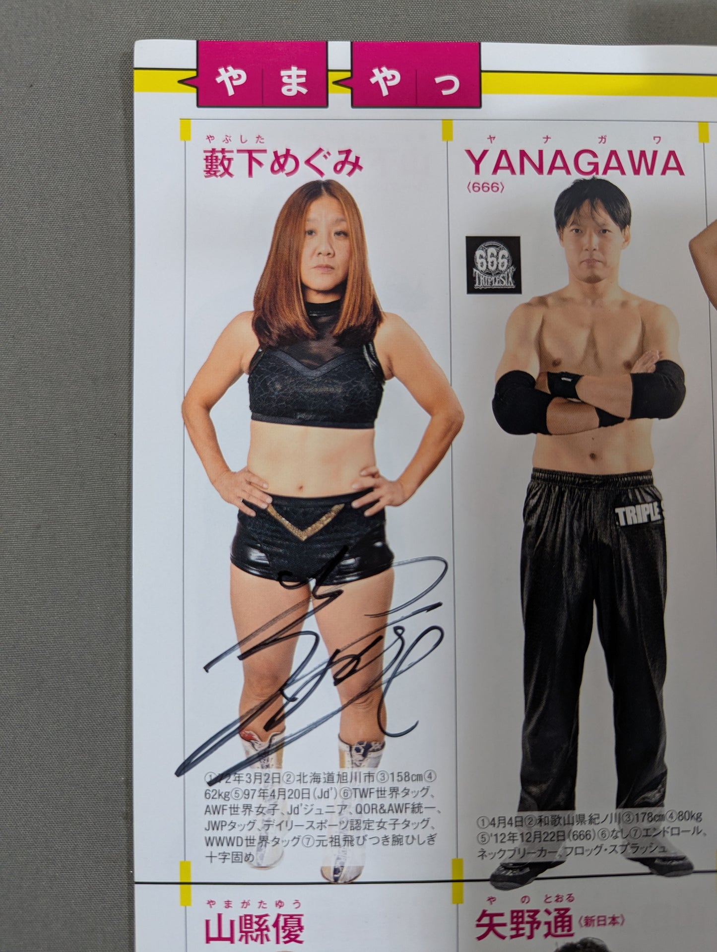 【14選手直筆サイン入り】週刊プロレス別冊144「2020 保存版プロレスラー全身写真名鑑」