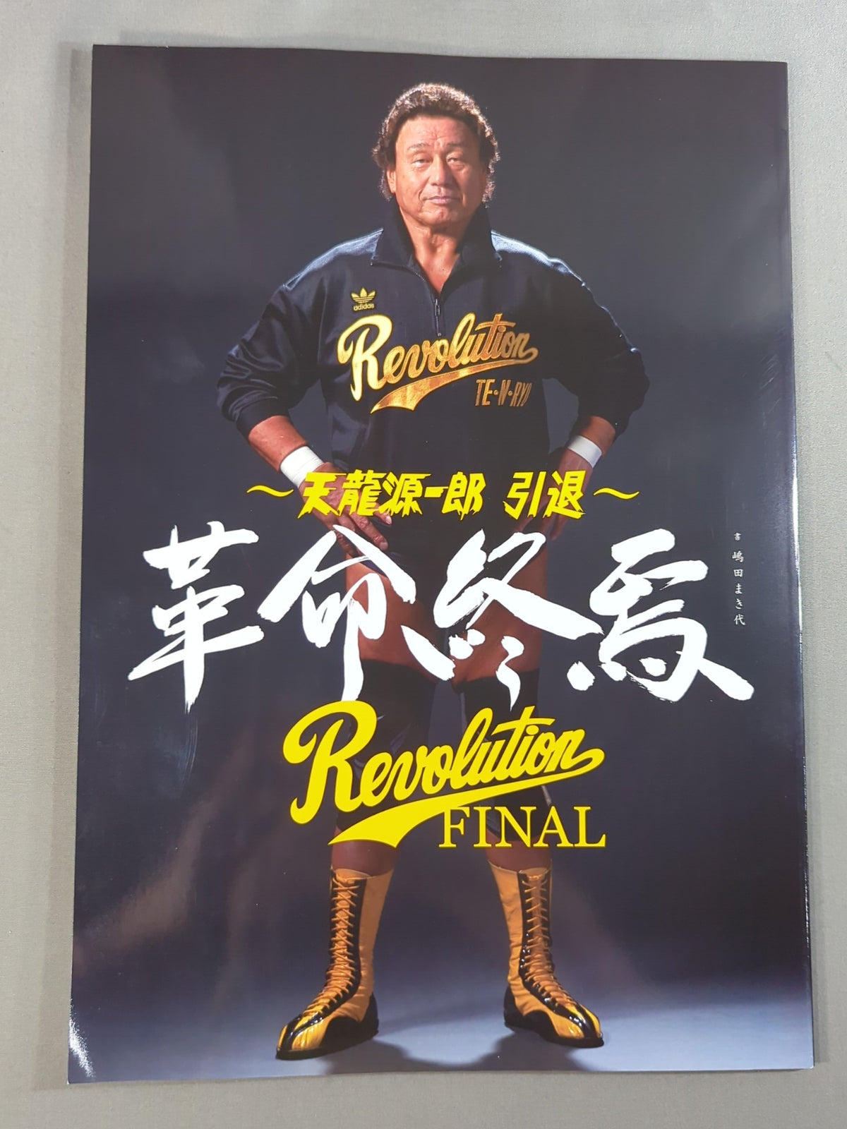 Tenryu Genichiro 10th Anniversary Box Office ~Revolutionary Flight~