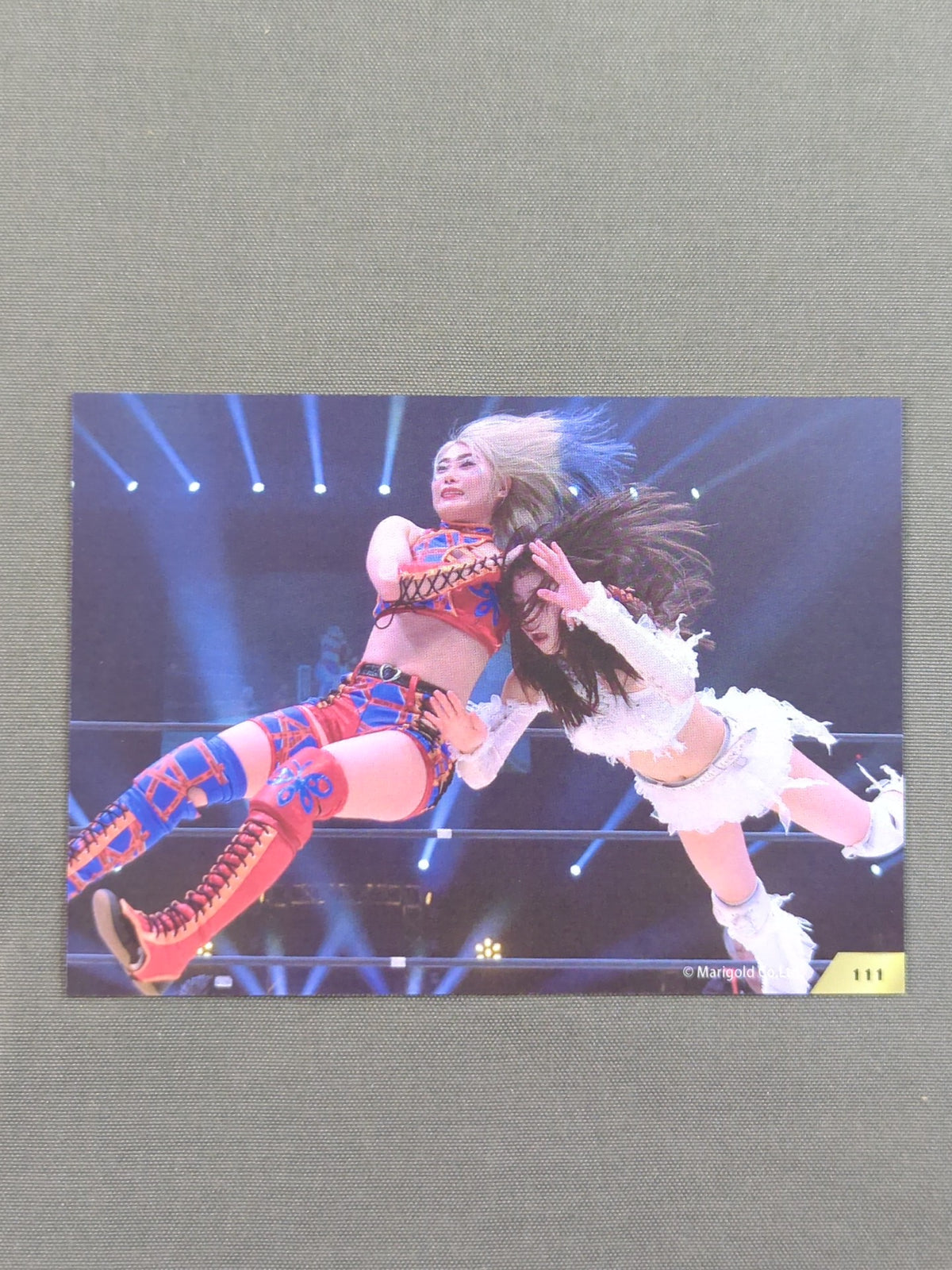 2026 MARIGOLD CARD COLLECTION 橘渚(111)
