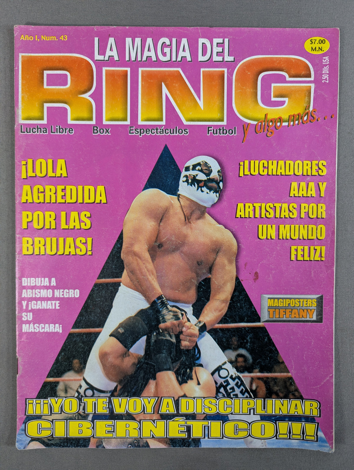 LA MAGIA DEL RING No.43