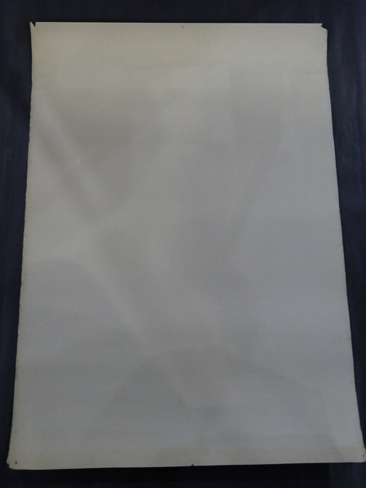 Tatsumi Fujinami Poster (1)