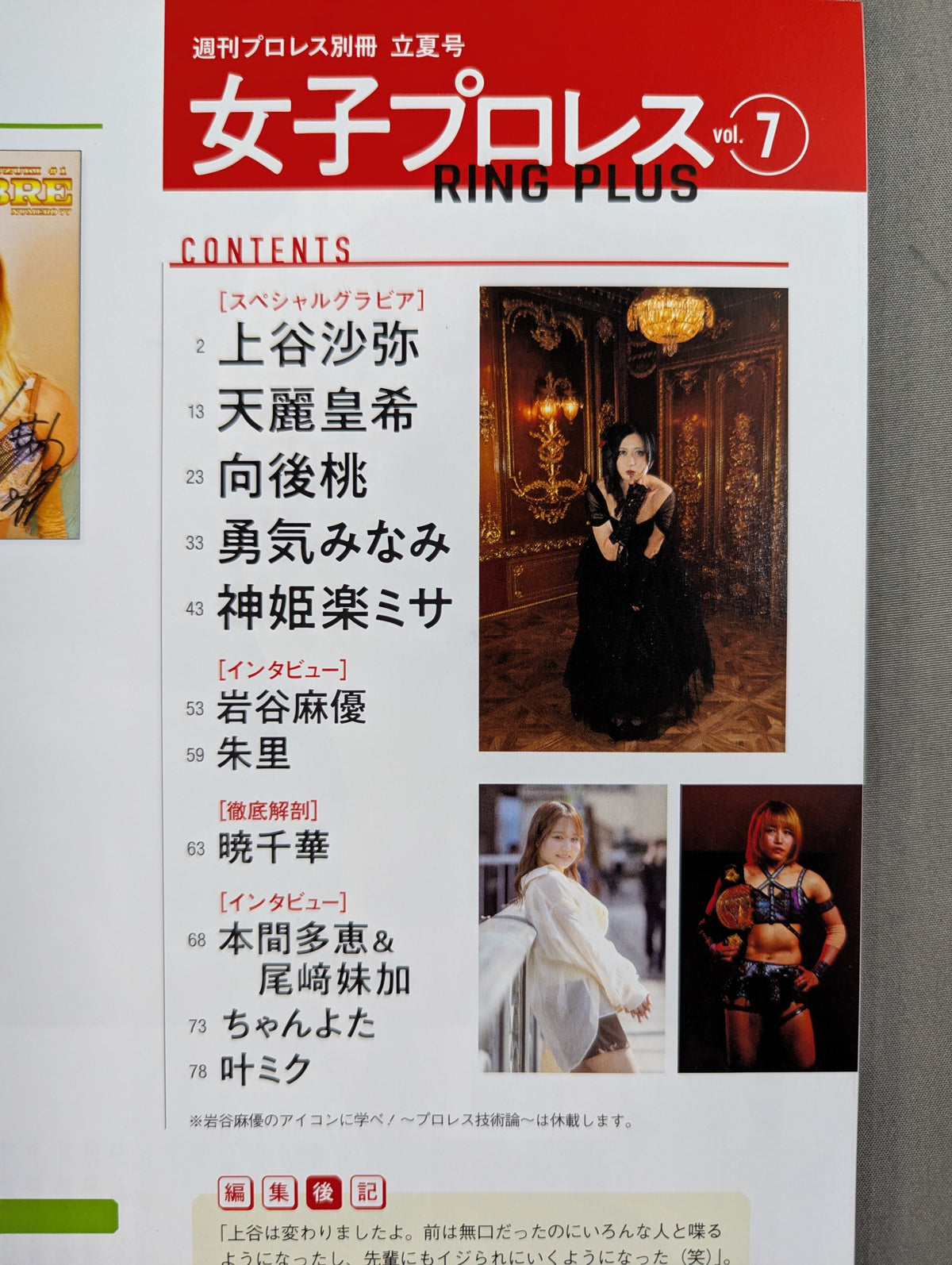 Weekly Pro Wrestling Appendix 156 "Women's Pro Wrestling RING PLUS" vol.7