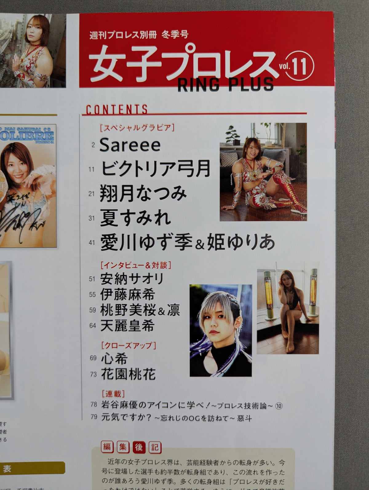 Weekly Pro Wrestling Annex 161 "Women's Pro Wrestling RING PLUS" vol.11