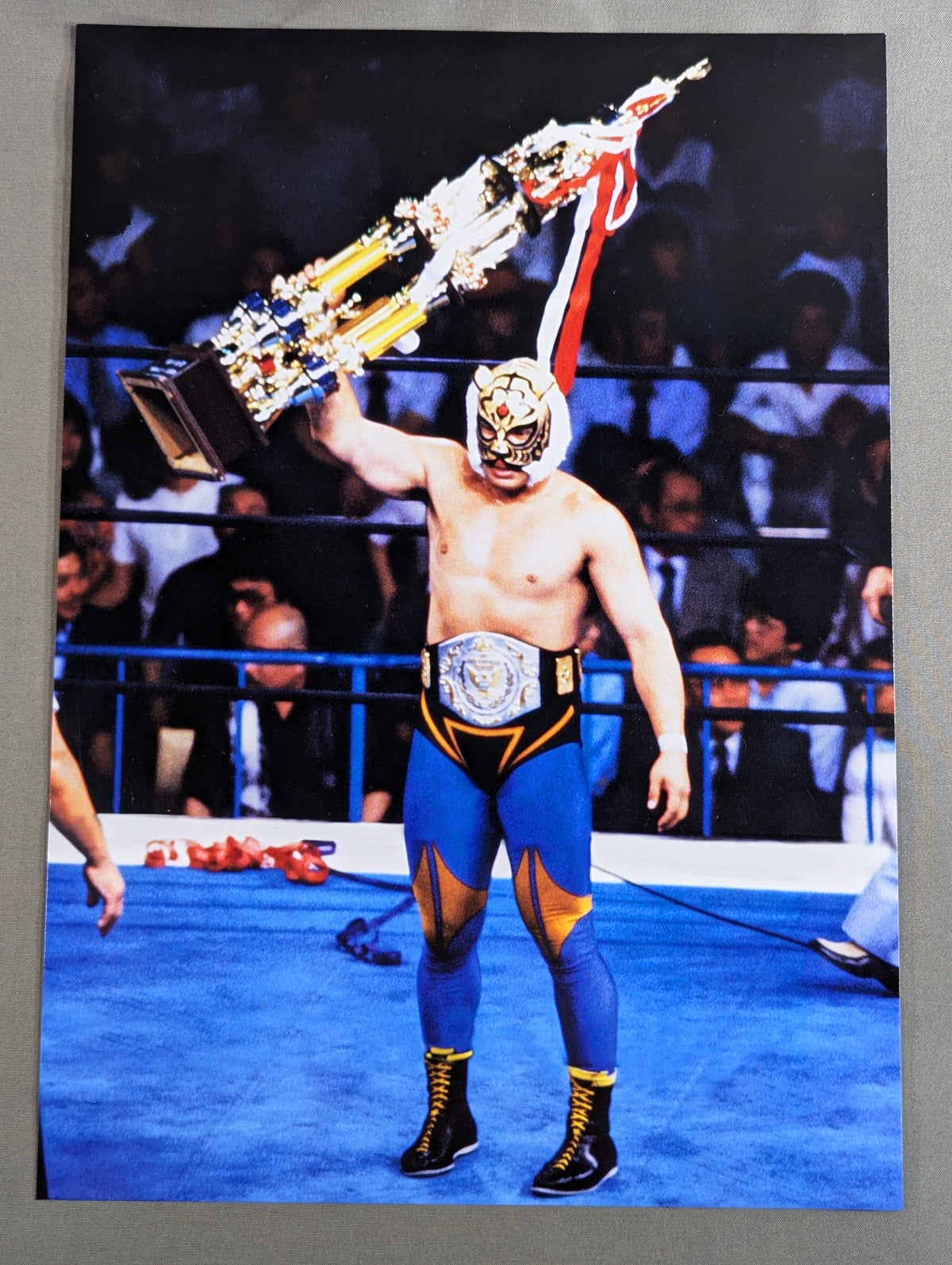 First Tiger Mask Official Pro-Photo (2)