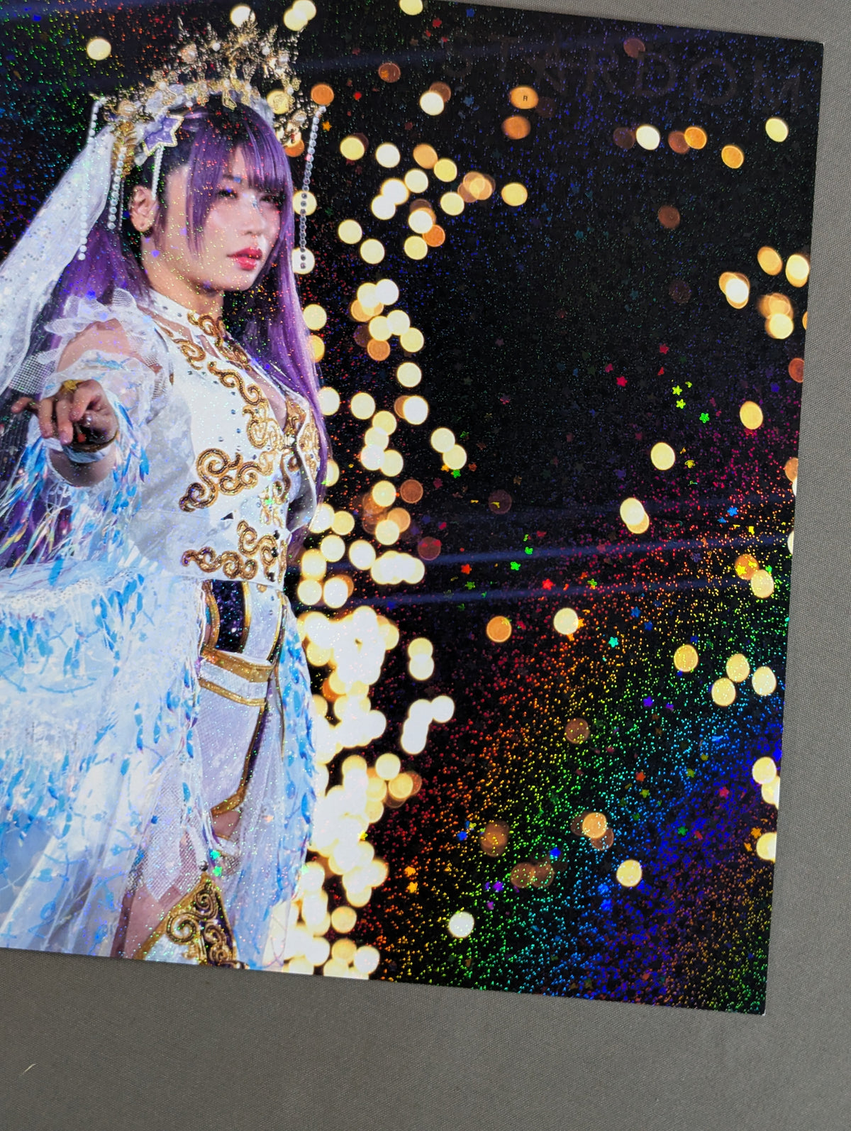 中野たむ メモリアルポートレート A