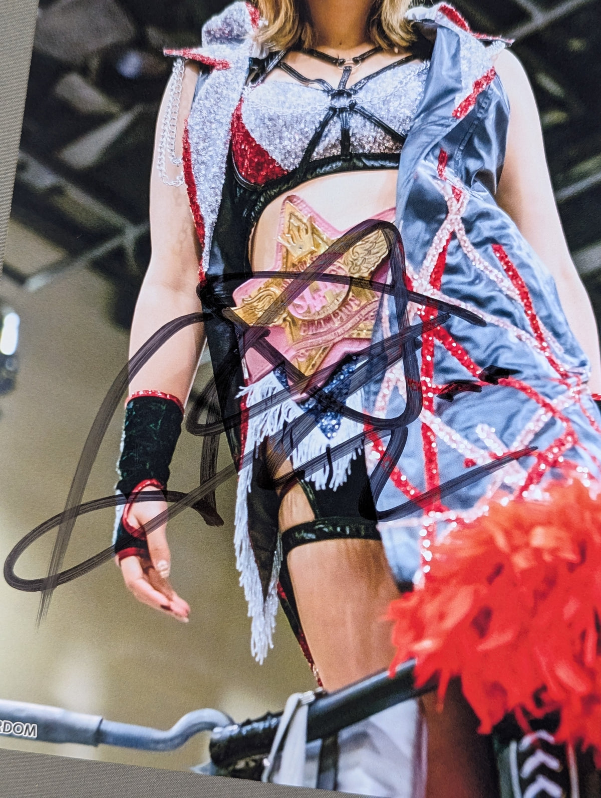 HIMEKA hand signed autograph Stardom Pro-Photo (T-1)