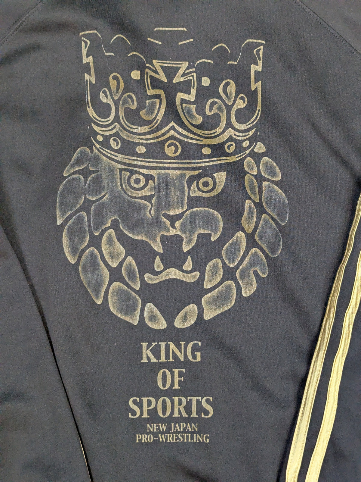 Lion Mark Crown Jersey (Black)