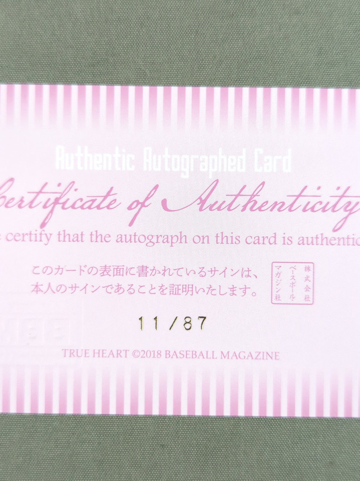 2018 BBM ERINA Official Autographed Card