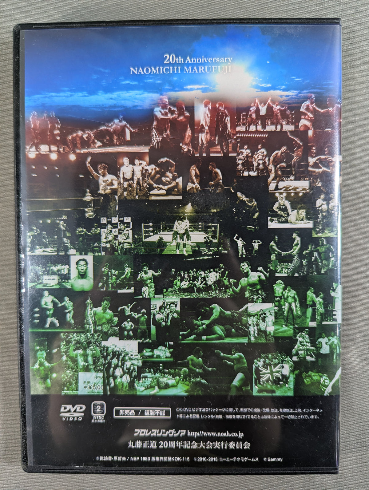 Naomichi Marufuji 20th Anniversary Tournament "Hisho"