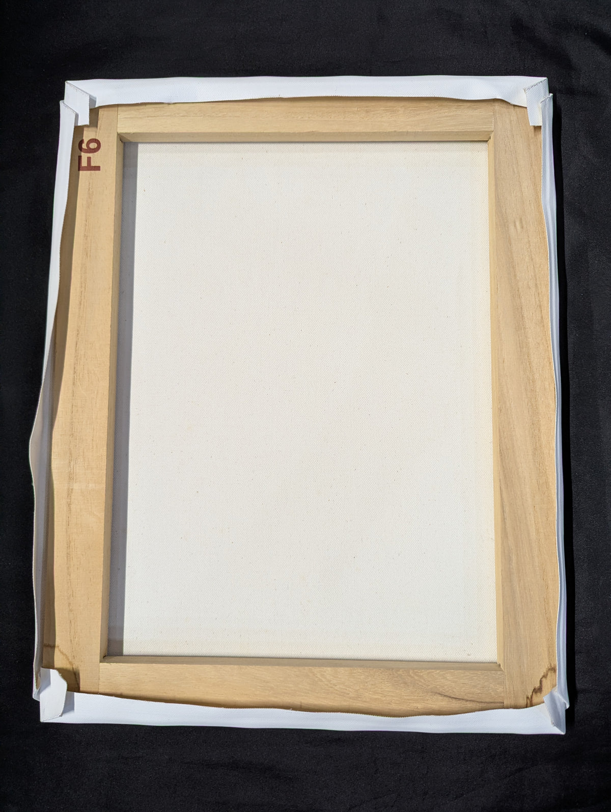 EVIL Canvas Panel F6