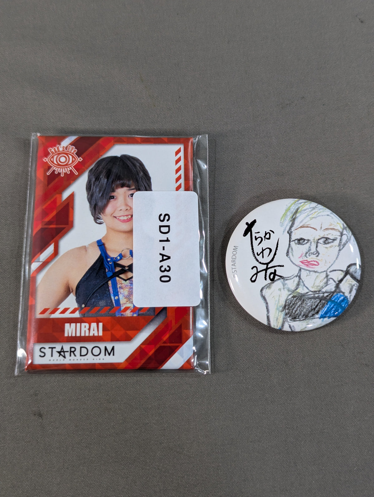 ★ New Fighting Princess ★ MIRAI PinBack button set(1)