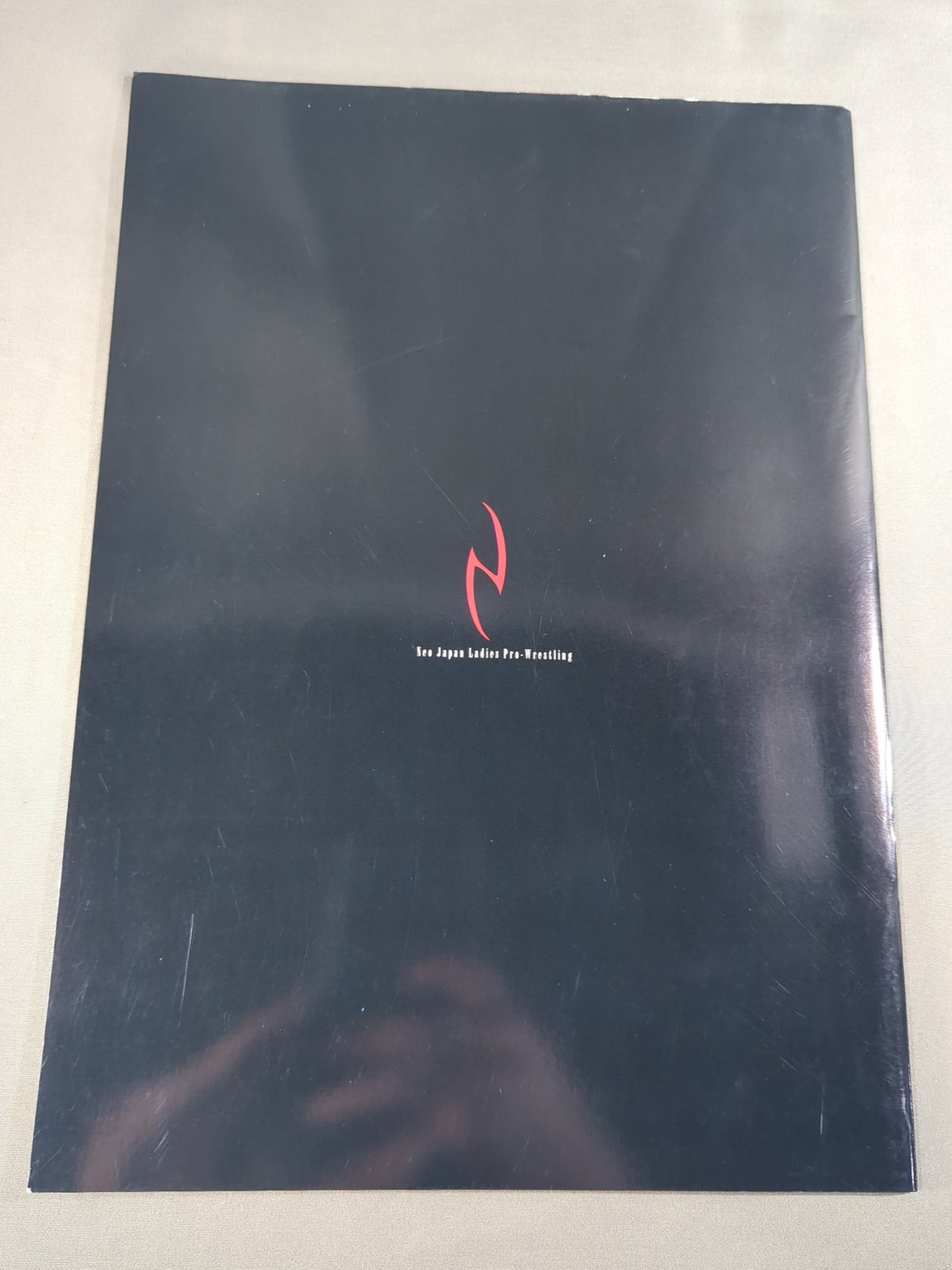 NEO Official Pamphlet (1999)