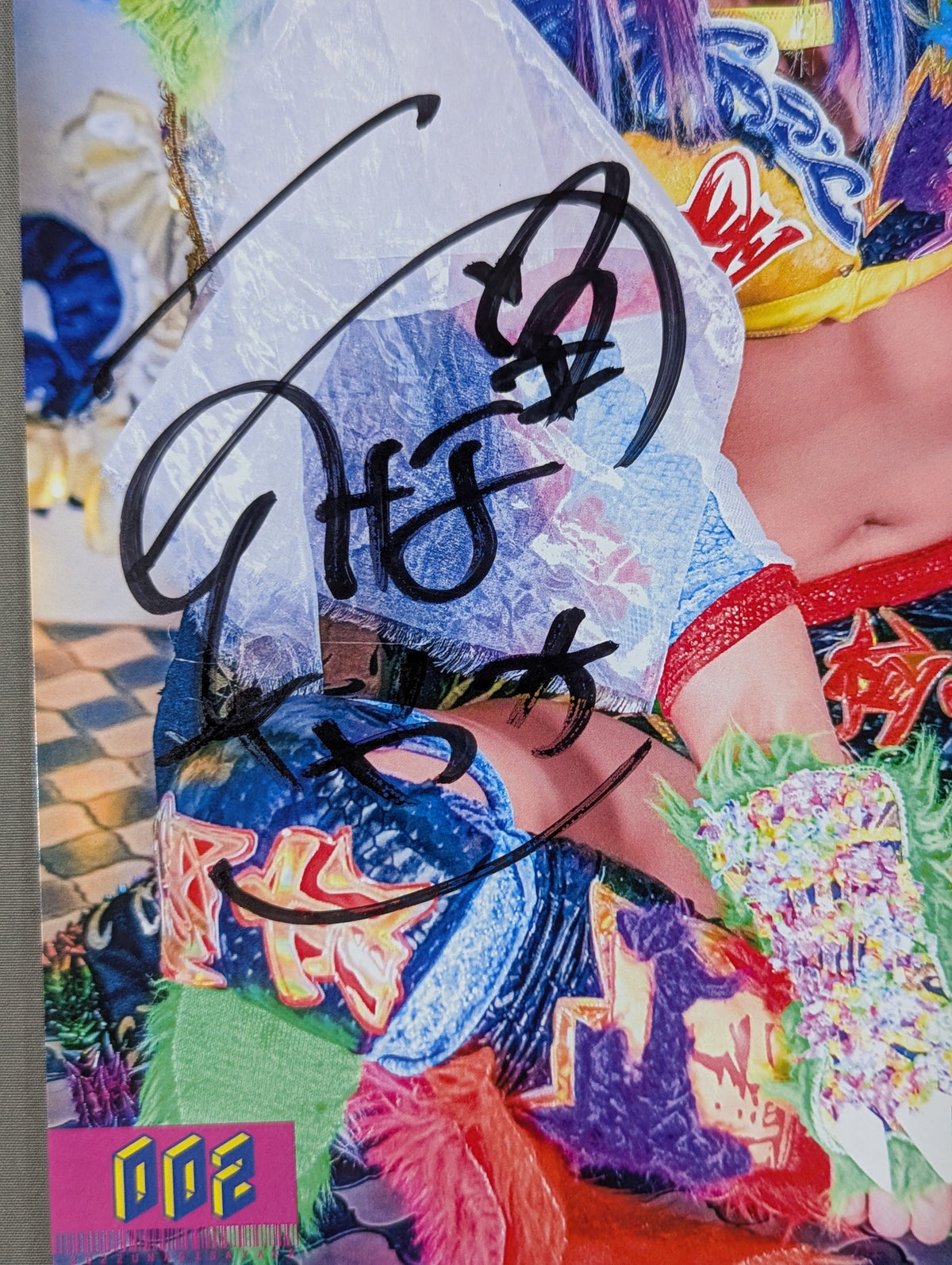 ウナギ・サヤカ 直筆サイン入りポートレート(D-6)