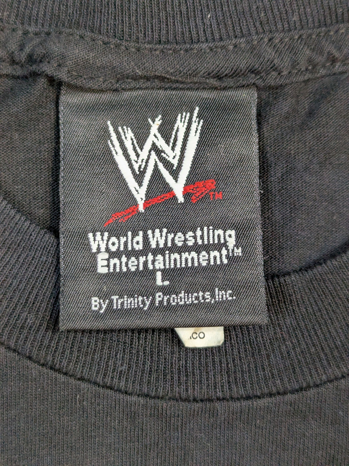 D-GENERATION X 'BREAK IT DOWN' T-shirt (WWE (2002) / Black)