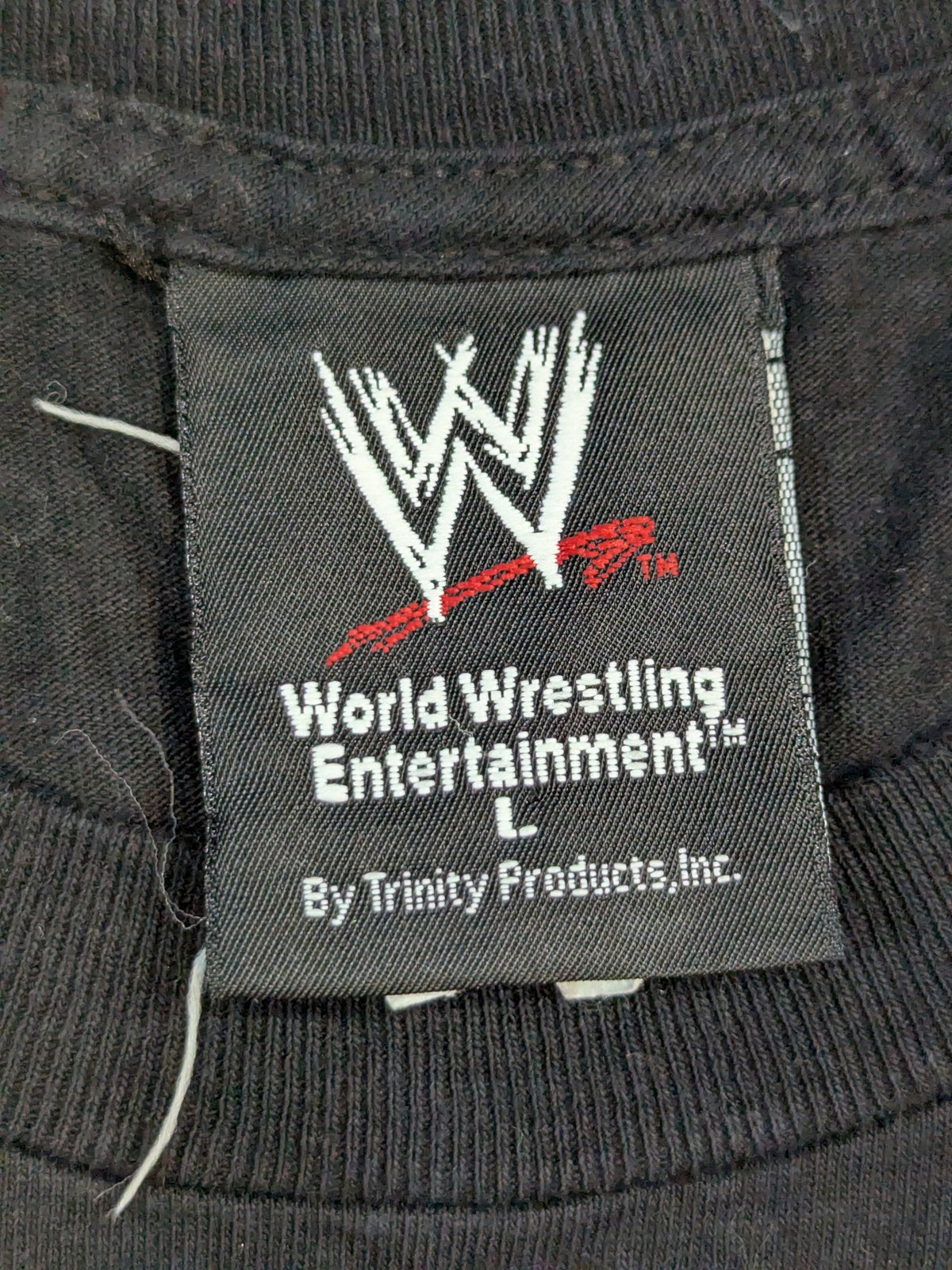 D-GENERATION X "TWO WORDS SUCK IT" T-shirt (WWE (2002) / Black)