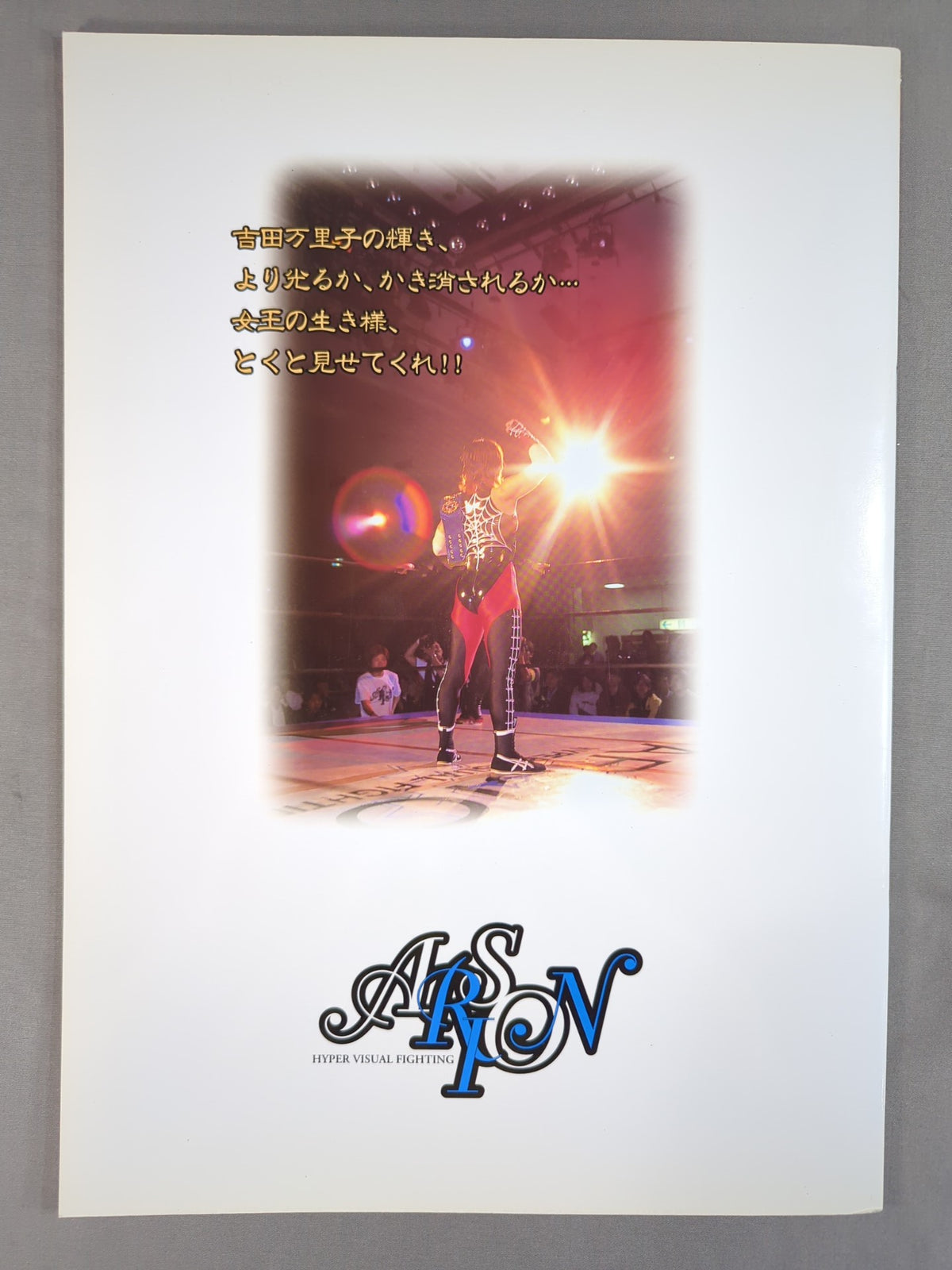 アルシオン オフィシャルガイドブック Vol.11 / STARDOMLIGHT'99