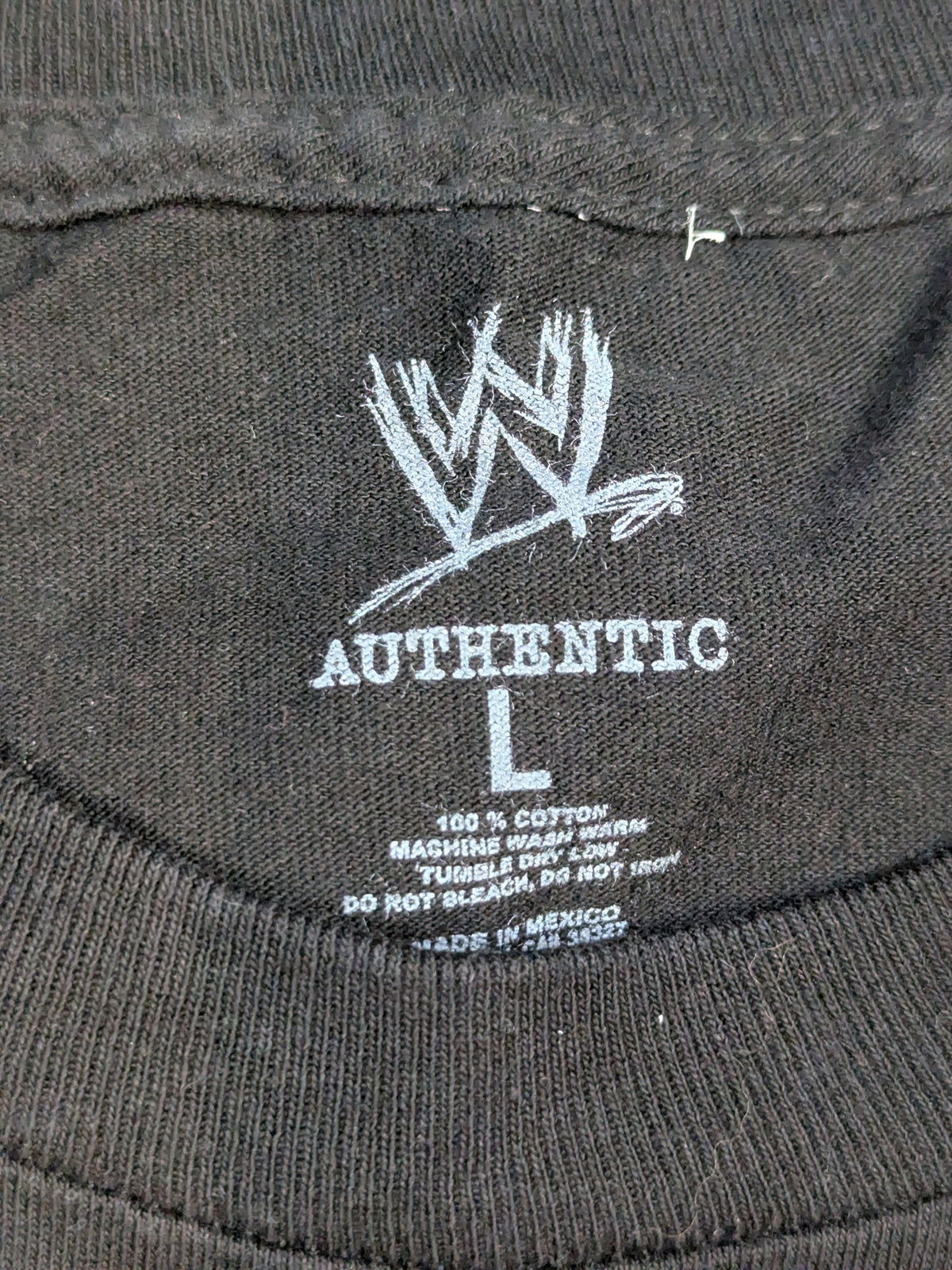 ザ・ロック「TEAM BRING IT SOLDIER」Tシャツ(WWE(2011) / ブラック)