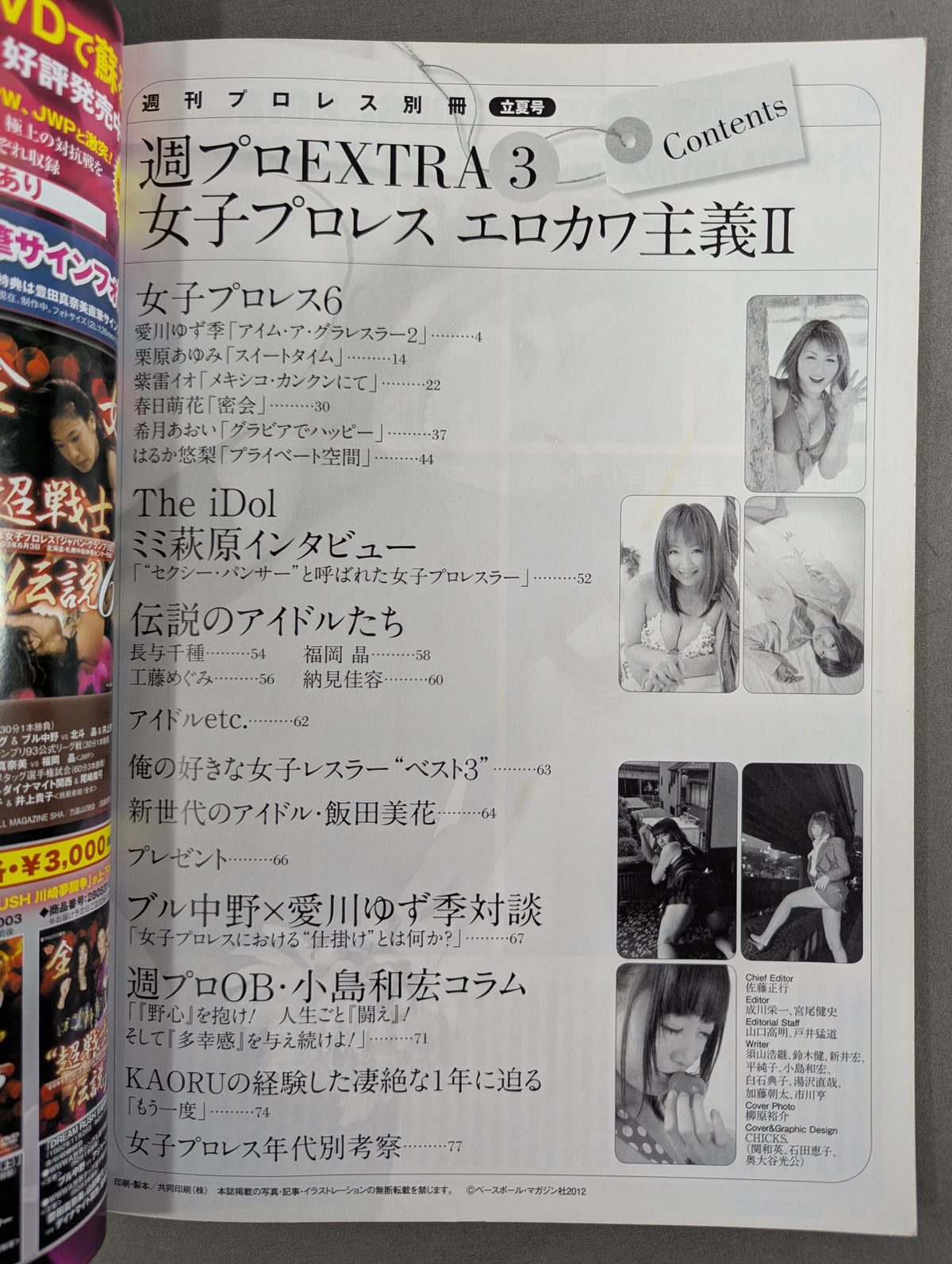 Weekly Pro Wrestling Appendix 97 "Girls Pro Wrestling Erokawaism II."
