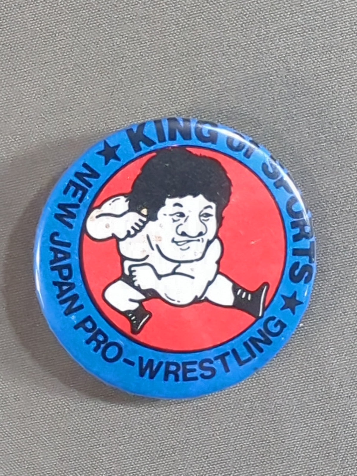 Tatsumi Fujinami Illustration PinBack button