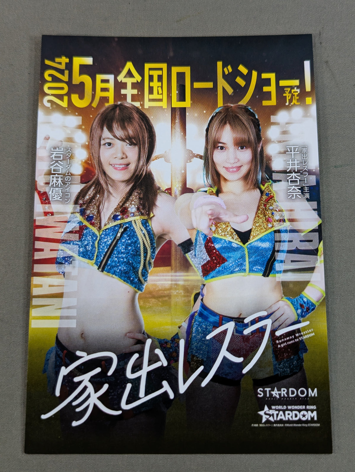Runaway wrestler (Mayu Iwatani & Anna Hirai) Postcard