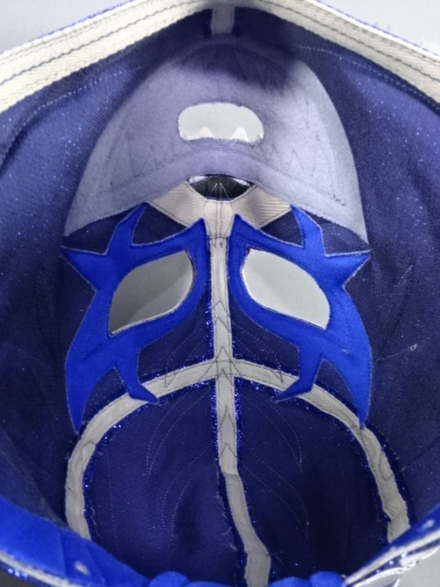 The Blue Shark