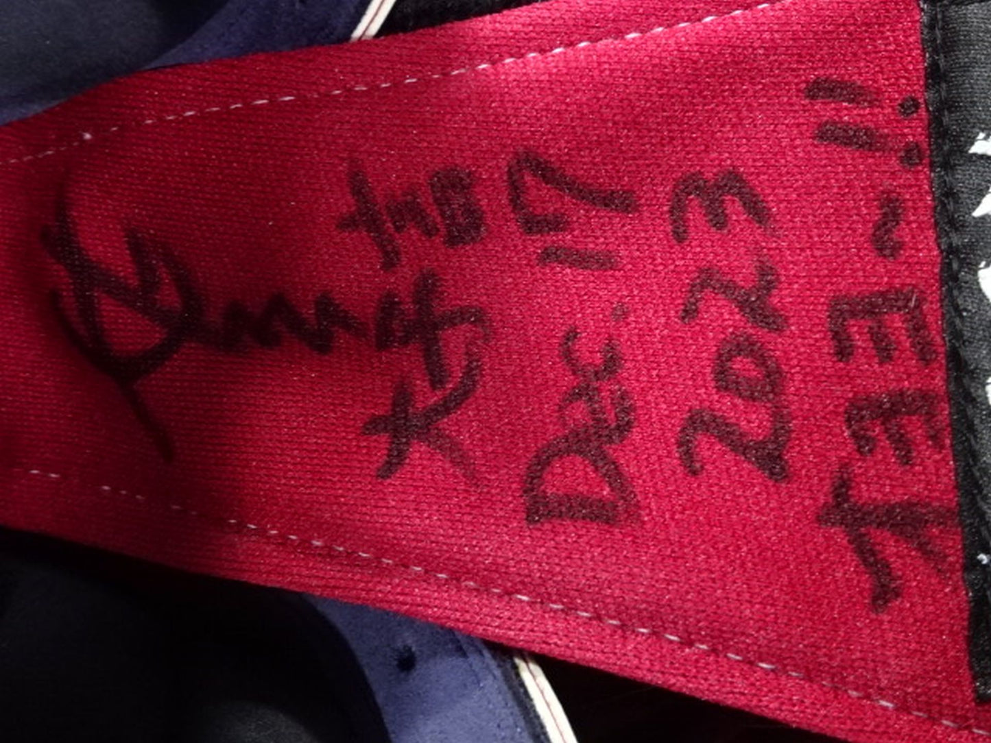 ★ The Great Sasuke Great Prediction 2024 worn by him★
