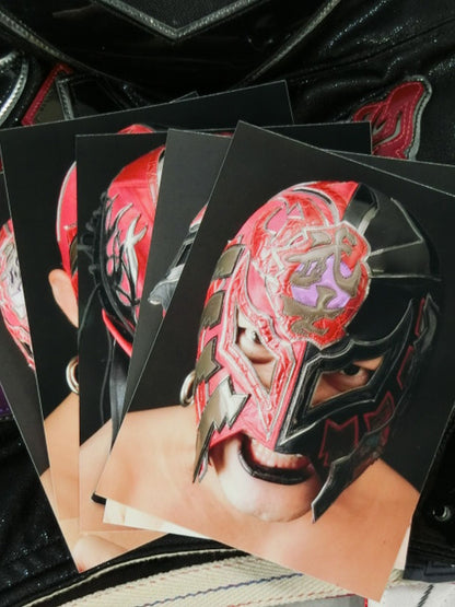 BUSHI