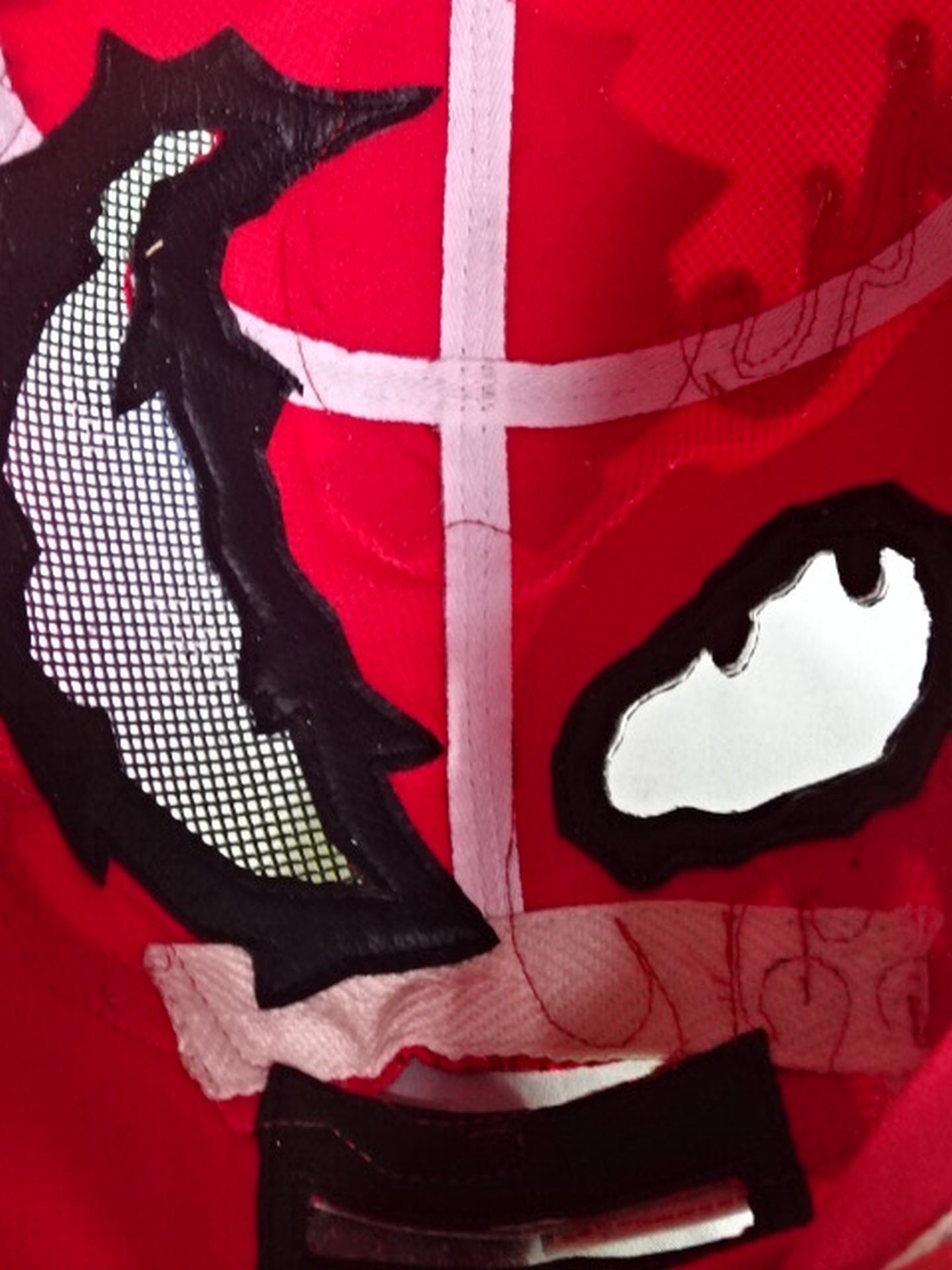 BUSHI