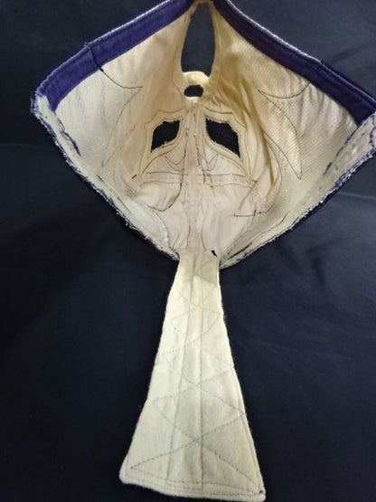Caballero de Plata